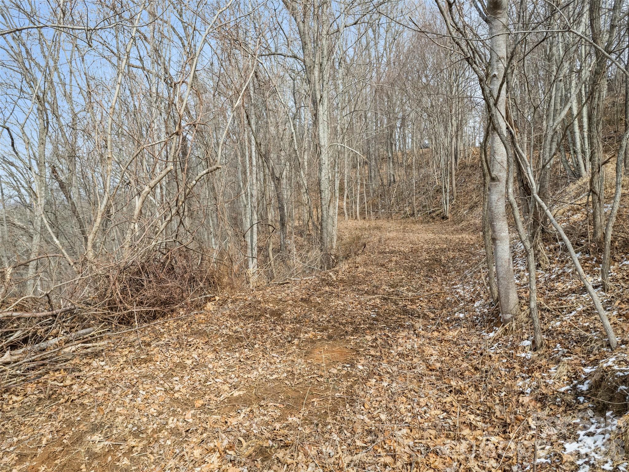 Lot #5 Viewpoint Mountain