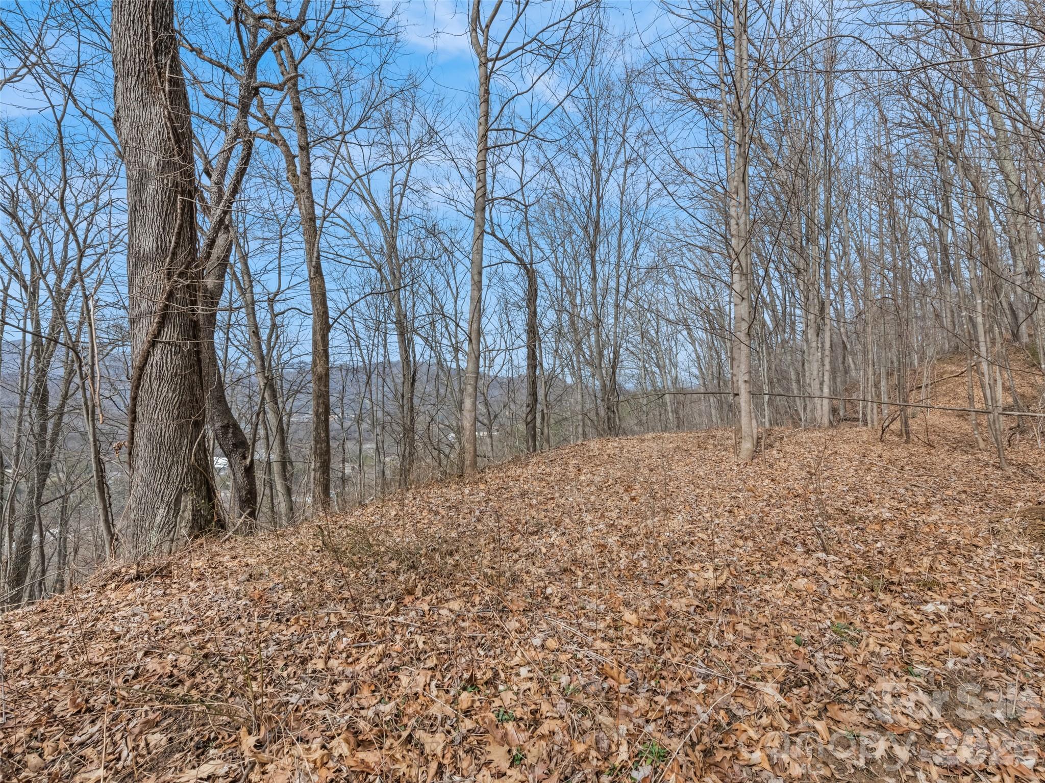 Viewpoint Mountain Estates - Land