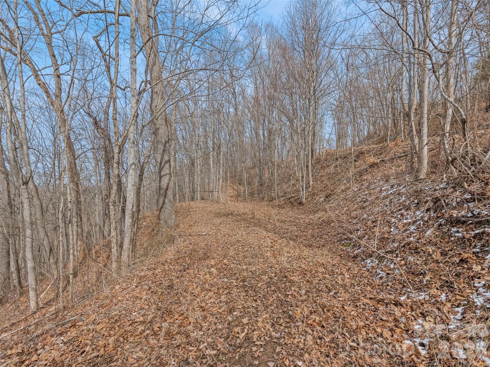Viewpoint Mountain Estates - Land