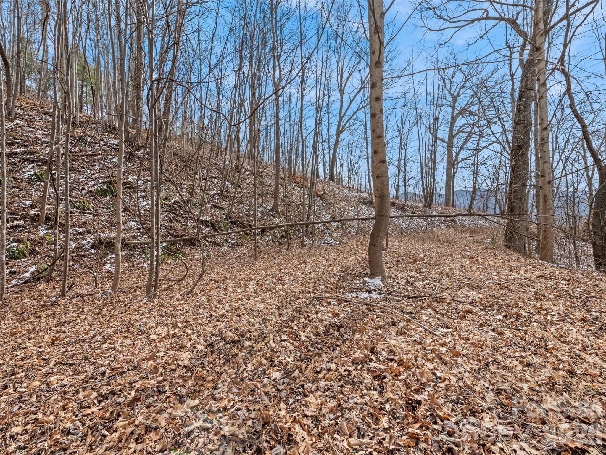 Viewpoint Mountain Estates - Land