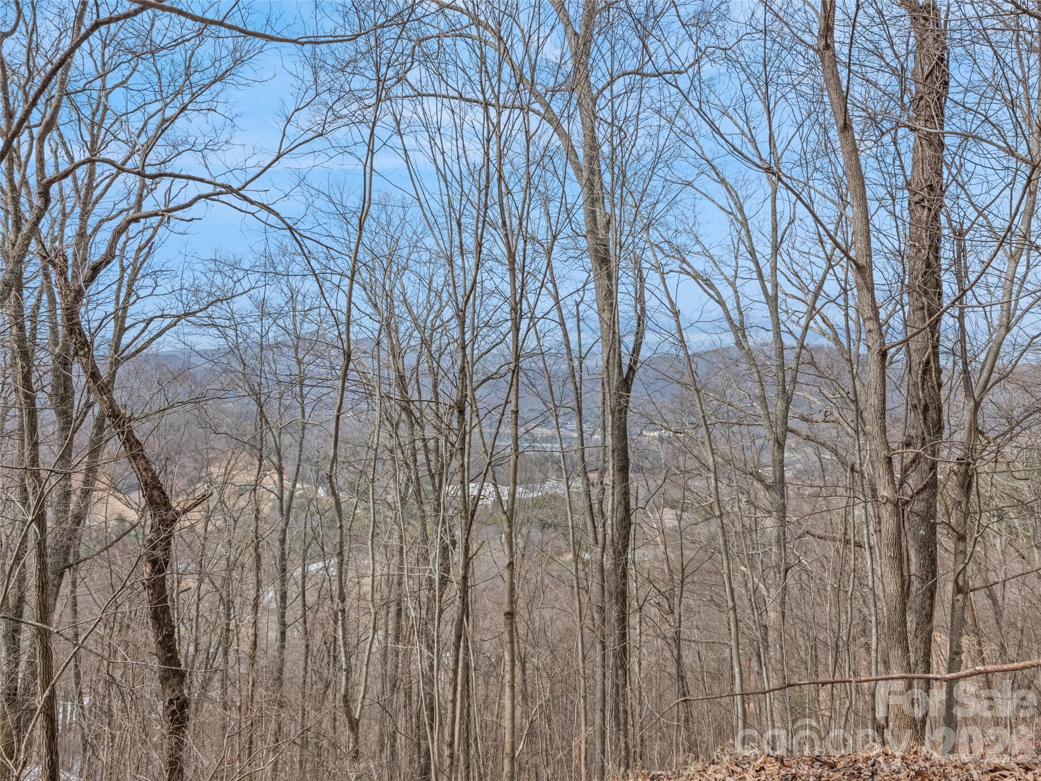 Viewpoint Mountain Estates - Land