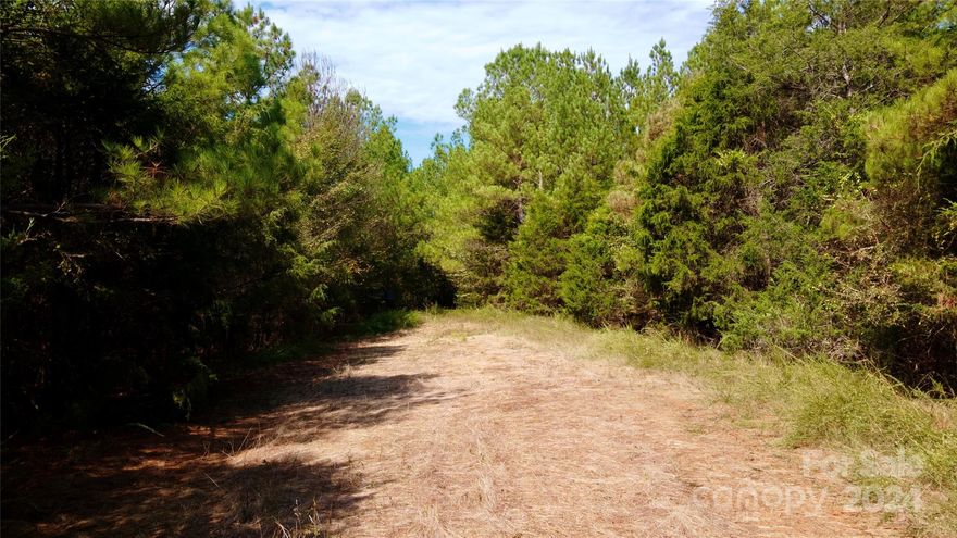 Located just outside of Chester, SC and within an hour of several major cities such as Charlotte, NC, Spartanburg, SC, and Columbia, SC this is a phenomenal hunting tract with a proven track record. This property truly has it all. There are income producing planted pine stands throughout and mast producing hardwoods, several existing food plots, and a creek that runs right down the middle of it all providing a very diverse wildlife habitat. There have been several big deer harvested in the past and hard gobbling Eastern turkeys are abundant offering some of the best turkey hunting in the area. There is a gated entrance, an established trail system throughout, and there are also several potential locations for you to add a hunting lodge or cabin. If you are looking for a well established hunting property this one is for you. Contact Land Specialist Phillip Griffith to schedule a private showing.