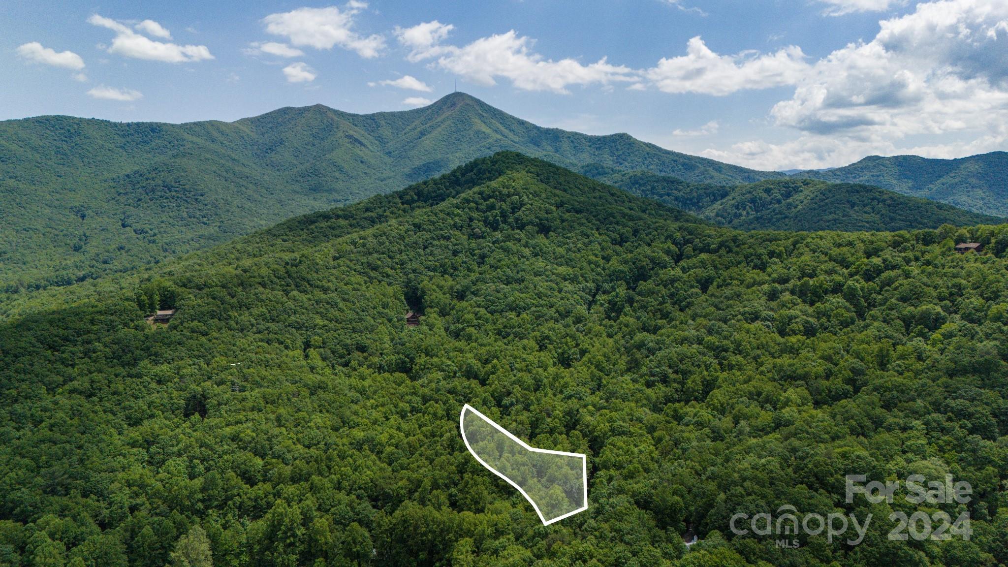 95 Treetops Drive