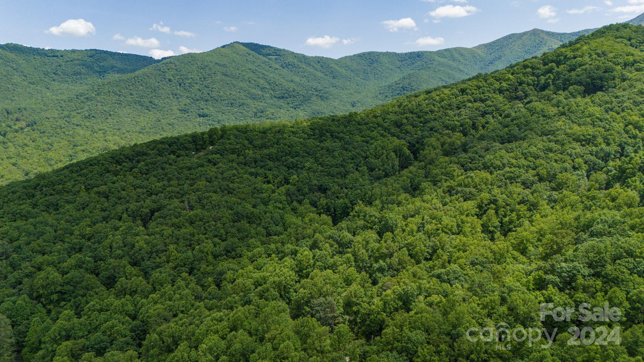 Treetops - Land