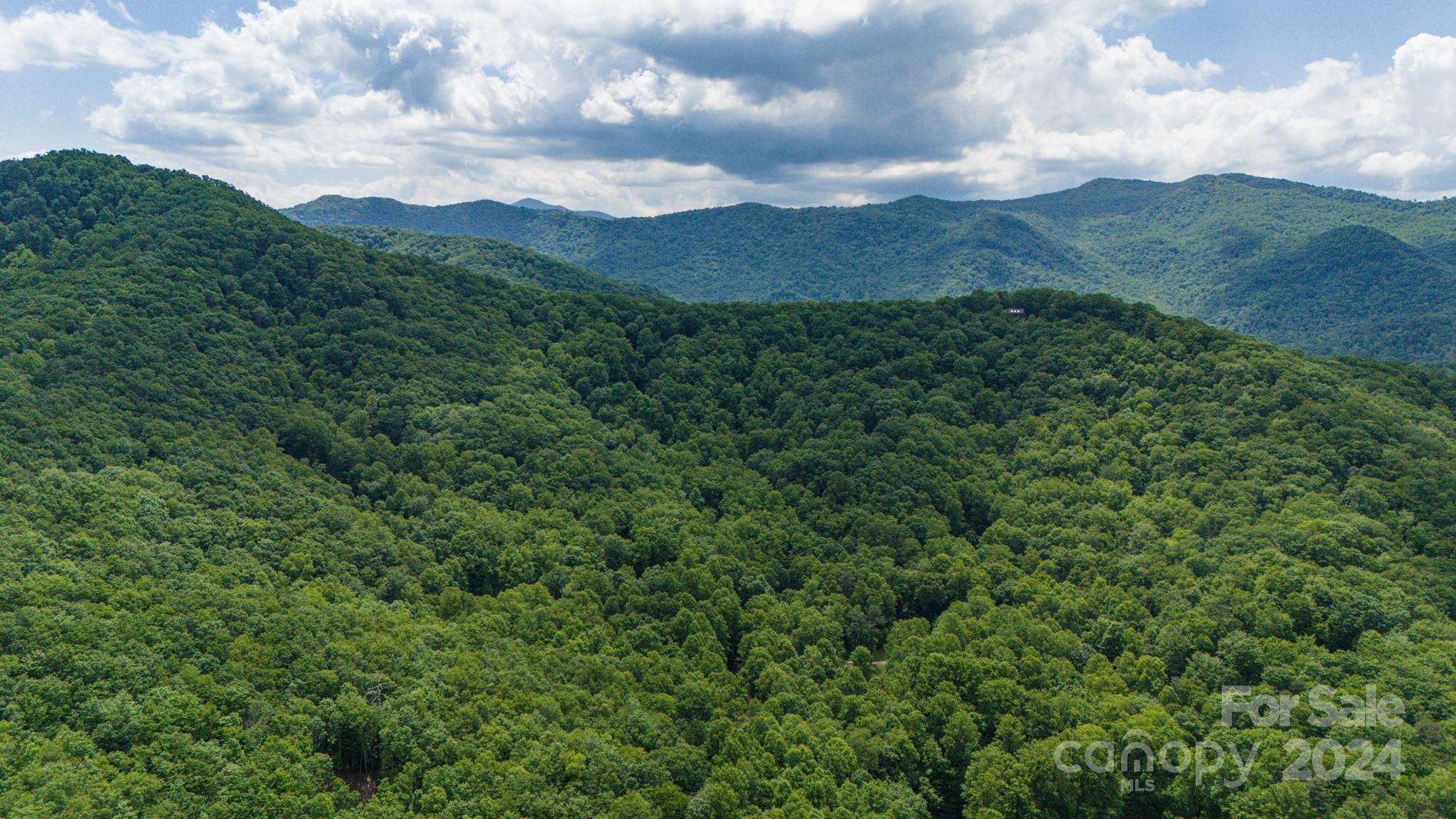 Treetops - Land