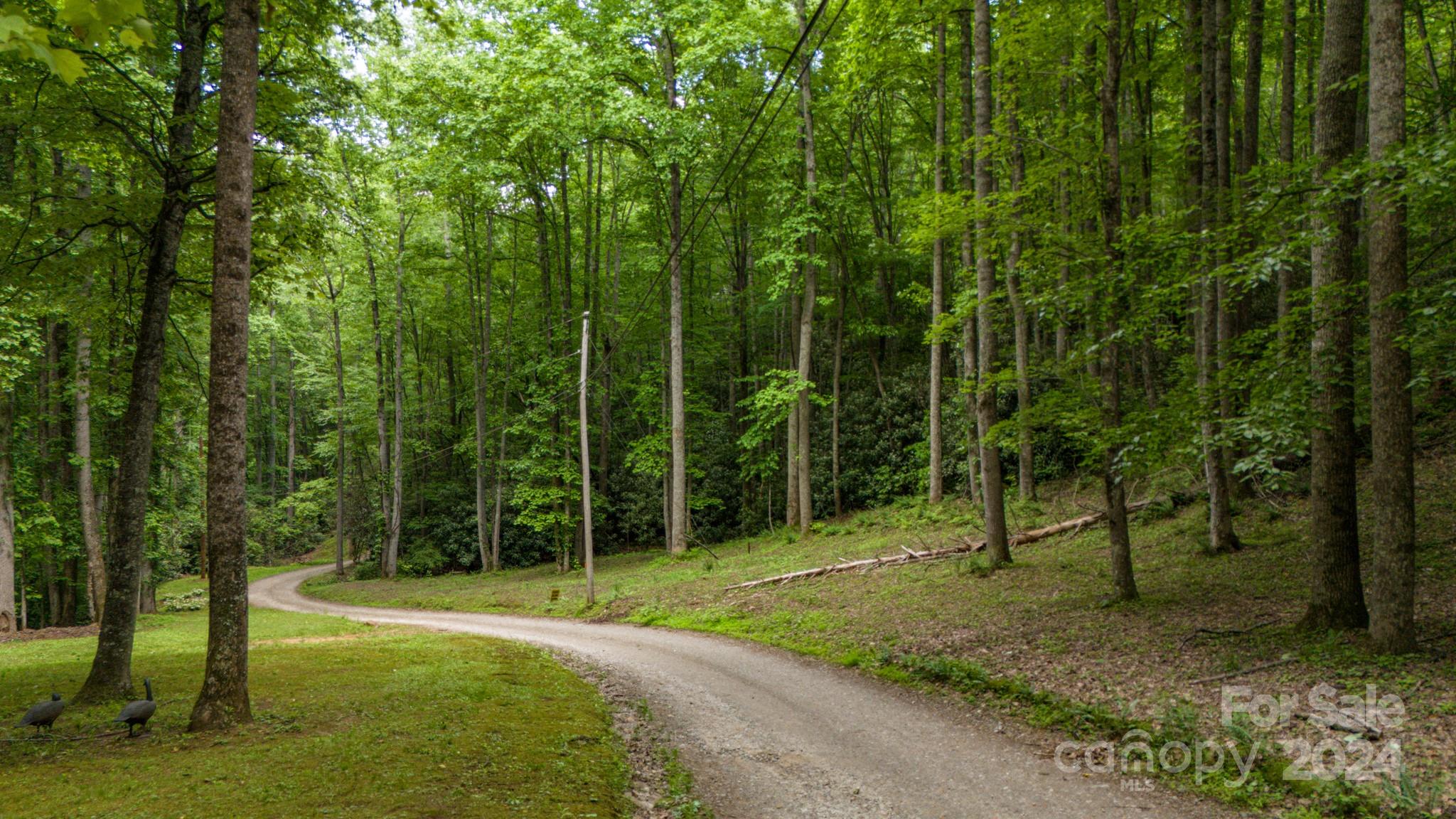 95 Treetops Drive