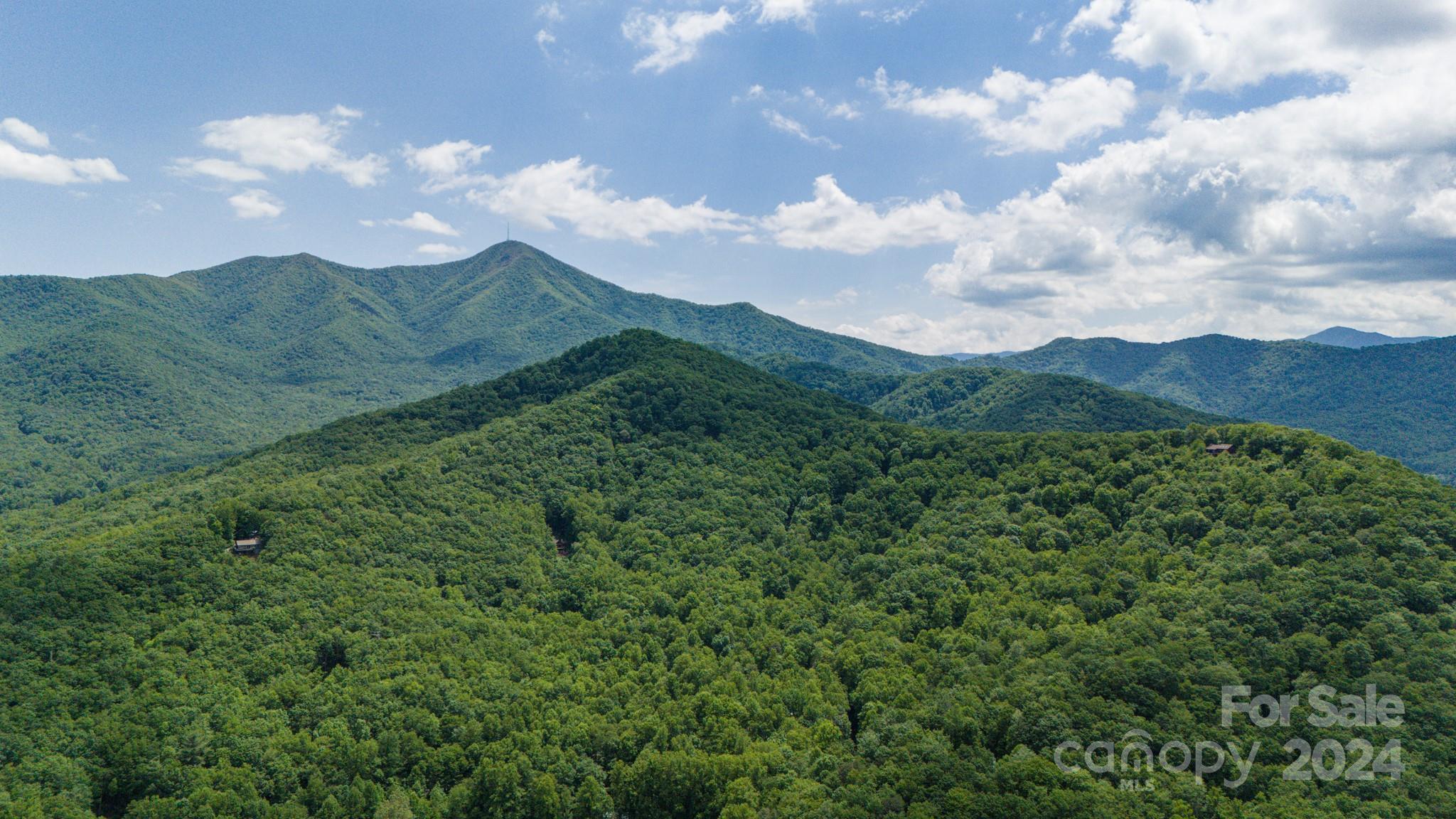 Treetops - Land