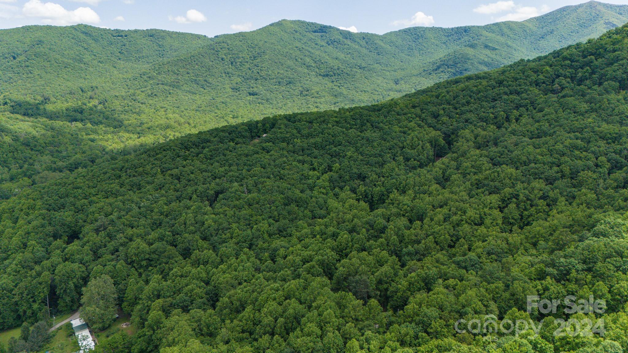 Treetops - Land