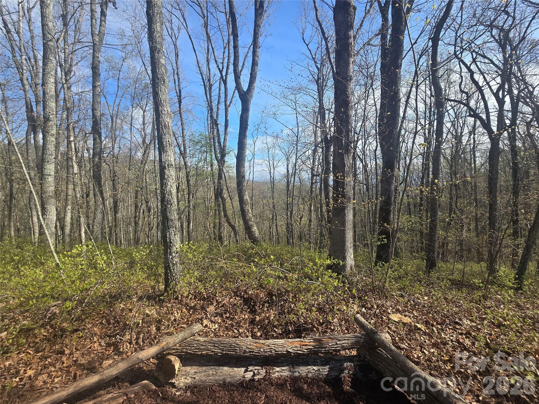 Lot 85 Waterdance Drive