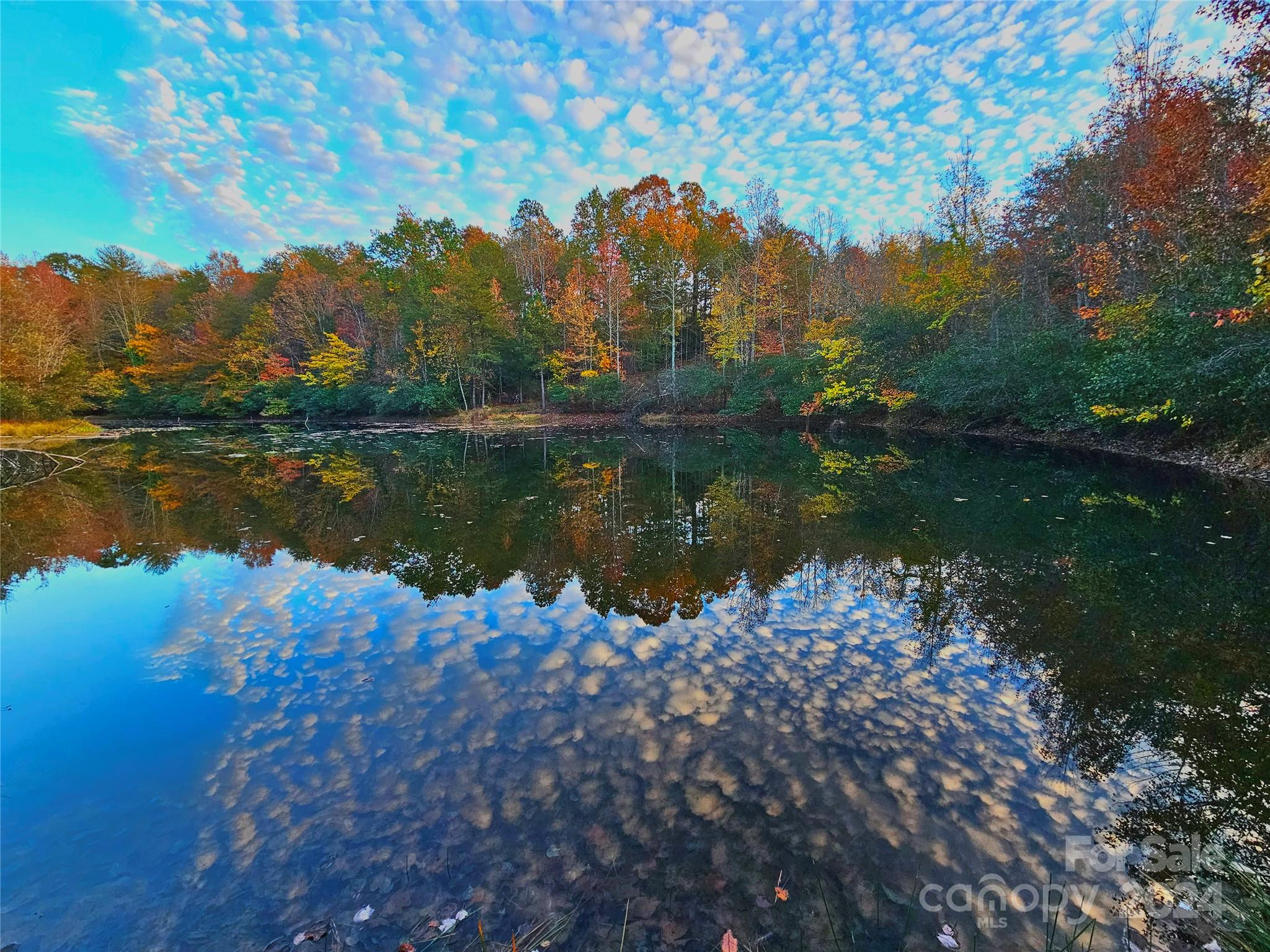 Equestrian Estates - Residential