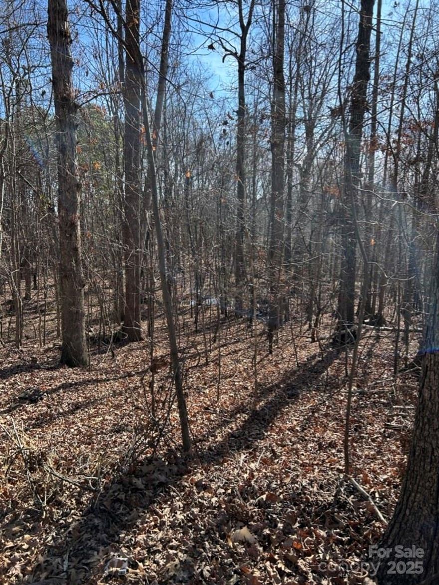 Nearly 2 acres of beautiful mature trees.  Gravel road access off of Alfred Road. Seller has 25 ft egress and ingress.  Lots backs up near Sutton Mill Subdivision.  No access into the subdivision. No HOA. Private.  No water or sewer - raw land. Property has no mailing address - must identify by County parcel number.. Easy access to I-77 and 160 corridor for restaurants, retail, commercial.  Fort Mill Schools.