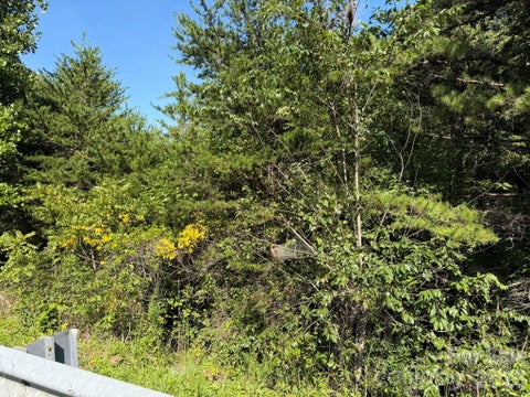 Photo of 00 John Bowman Road, Hickory, NC 28602 (MLS # 4419039)