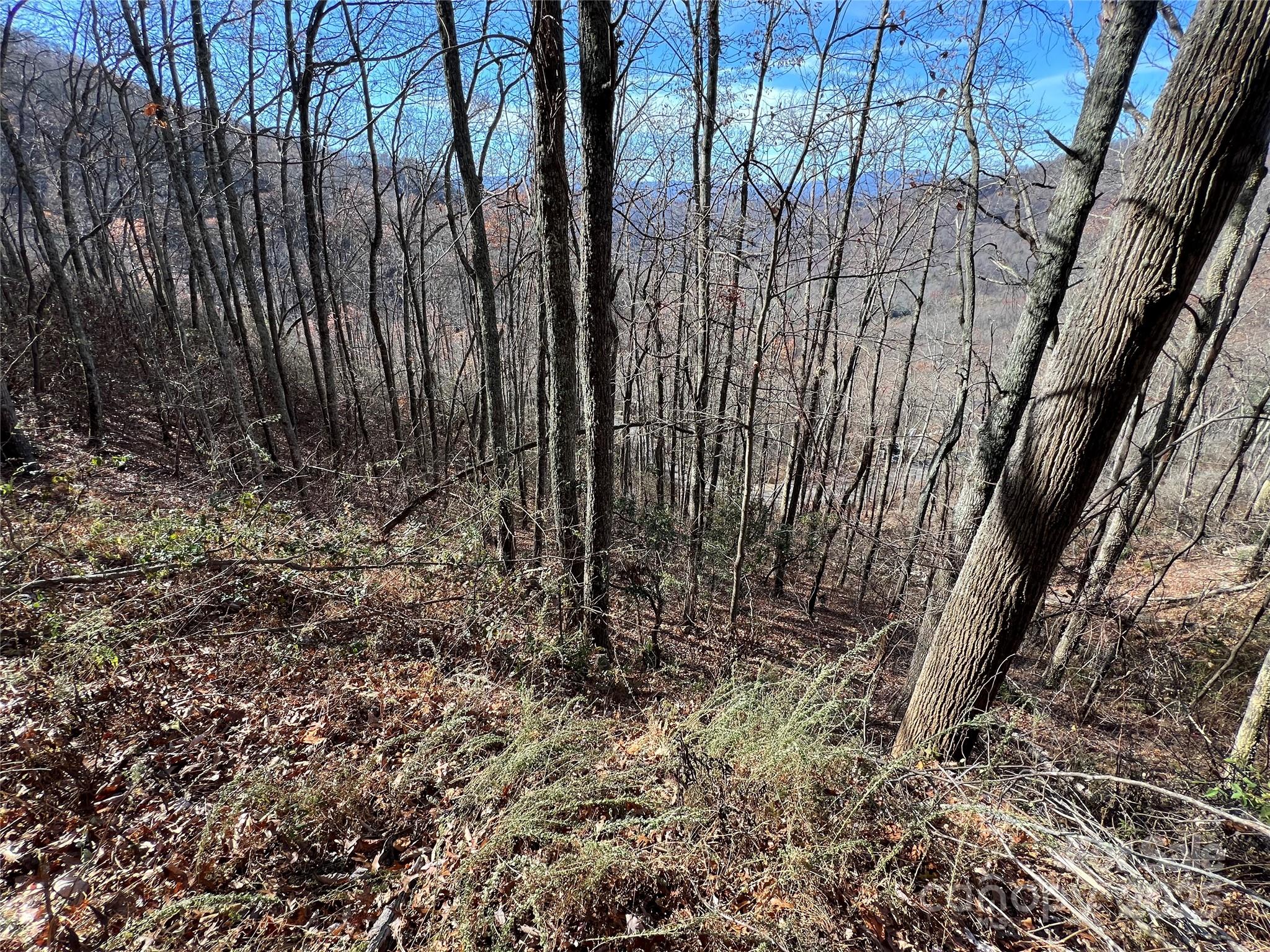 Lot 8 Falls View Drive