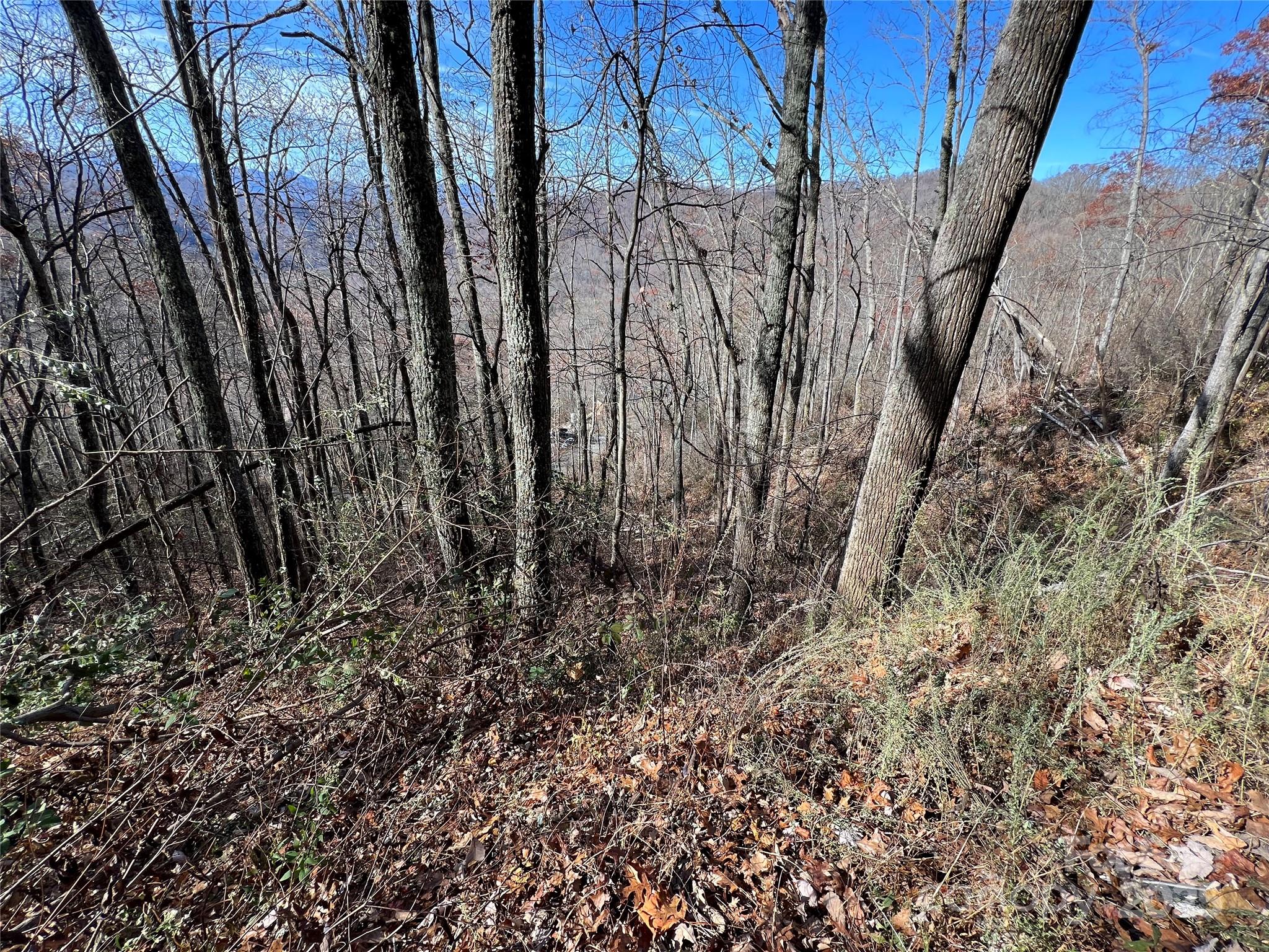 Lot 8 Falls View Drive