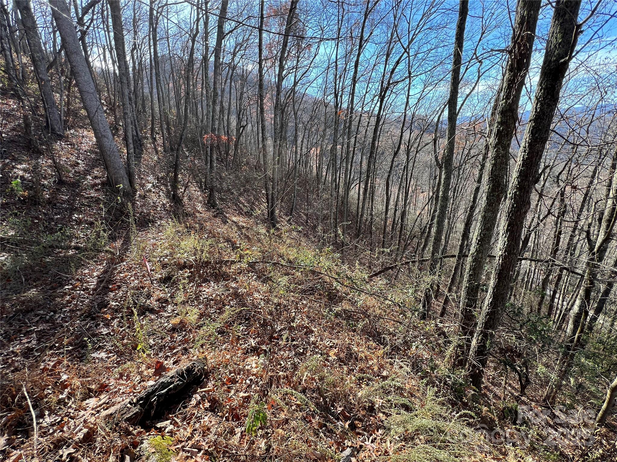 Lot 8 Falls View Drive