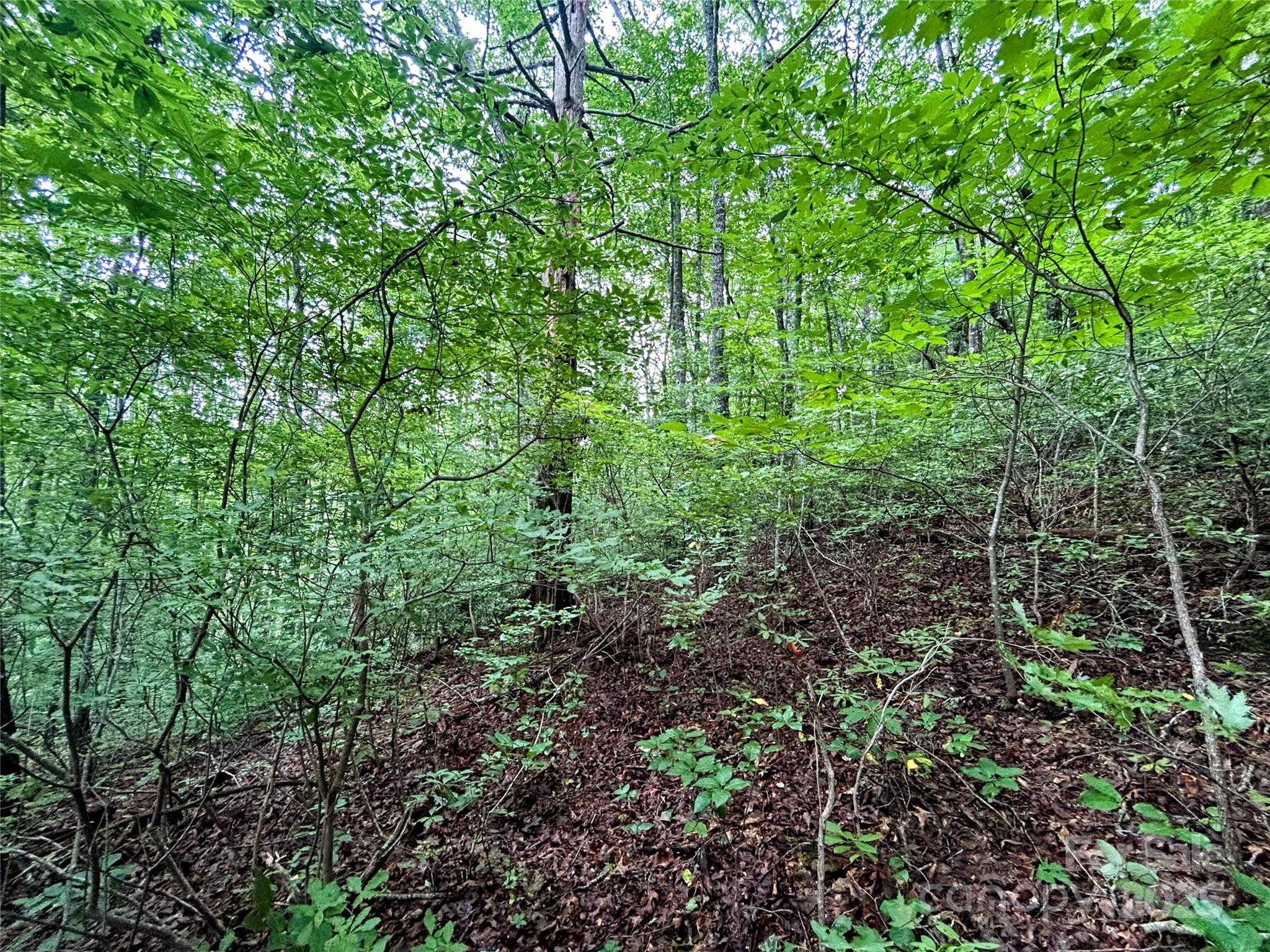 Little Warrior Mtn Estates - Land