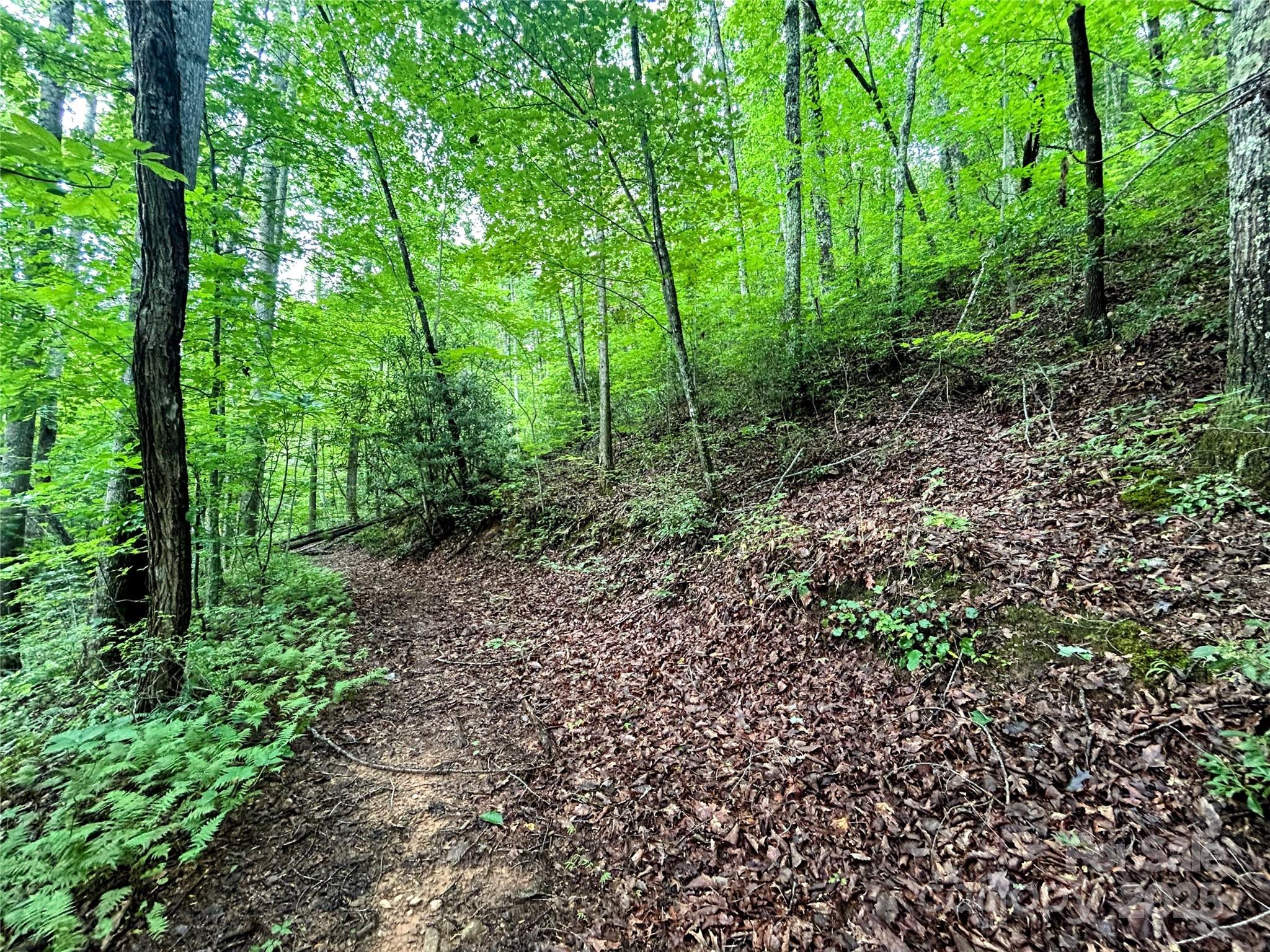 Little Warrior Mtn Estates - Land