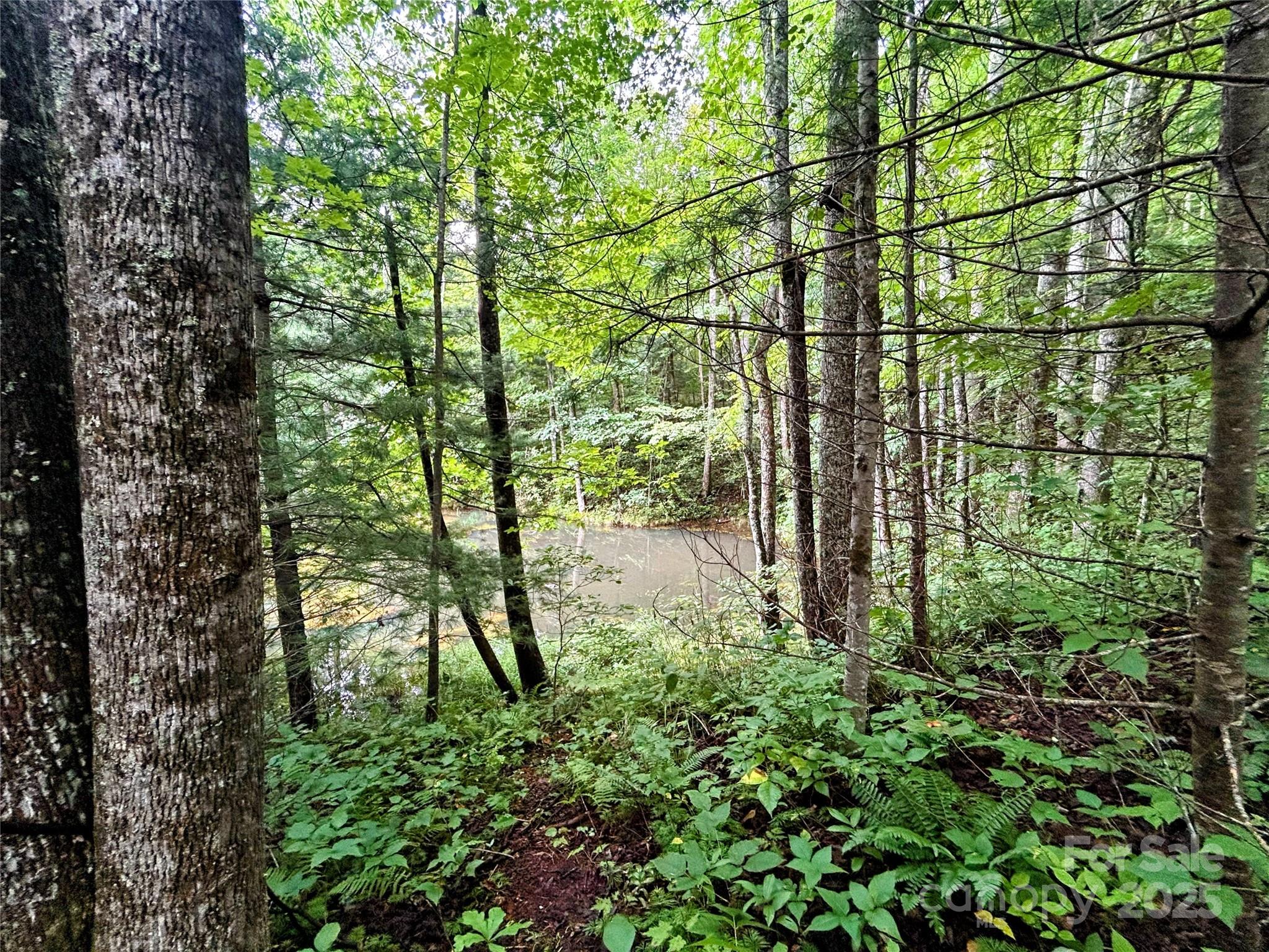 Little Warrior Mtn Estates - Land