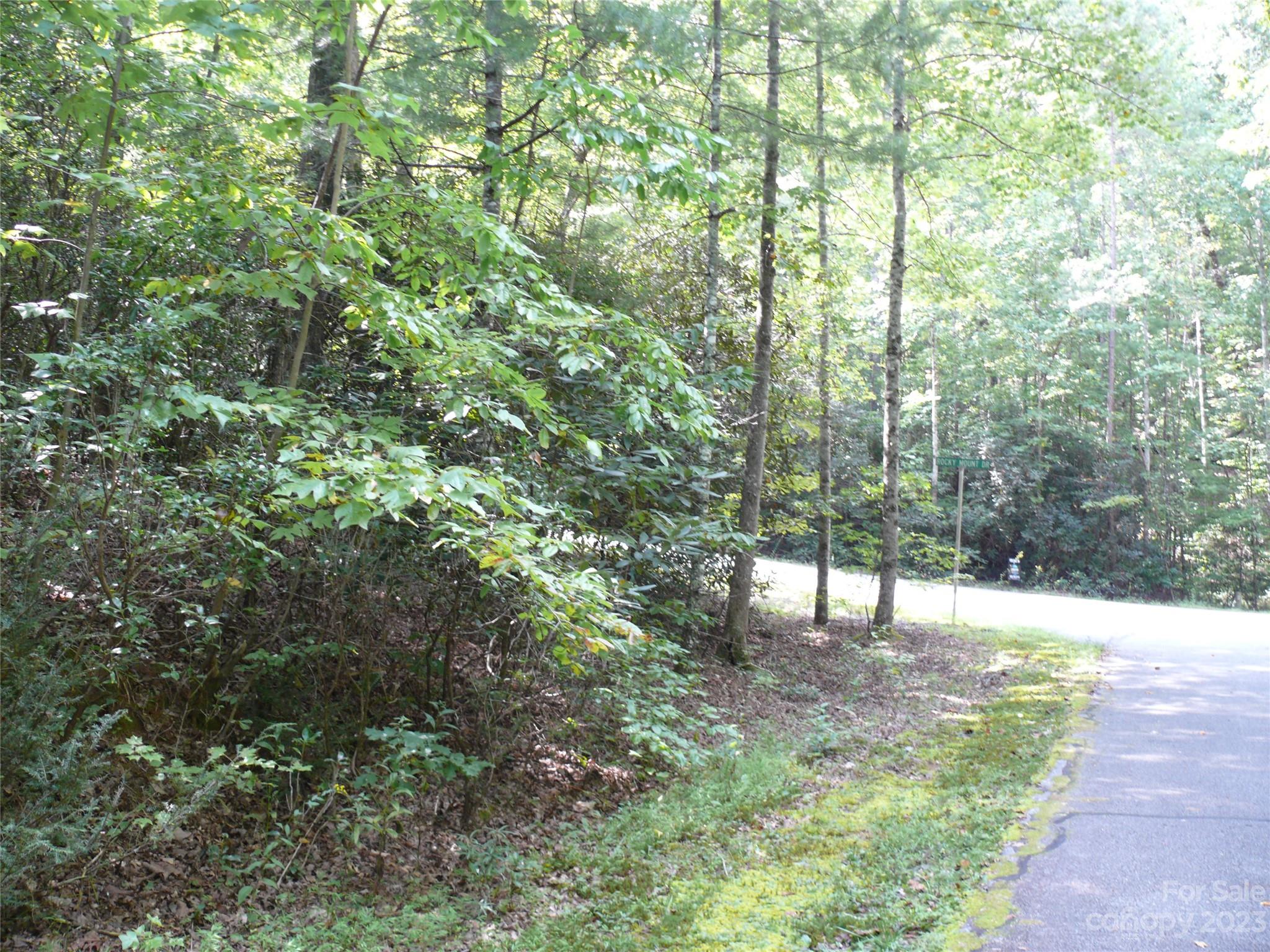 Carolina Mountains - Land