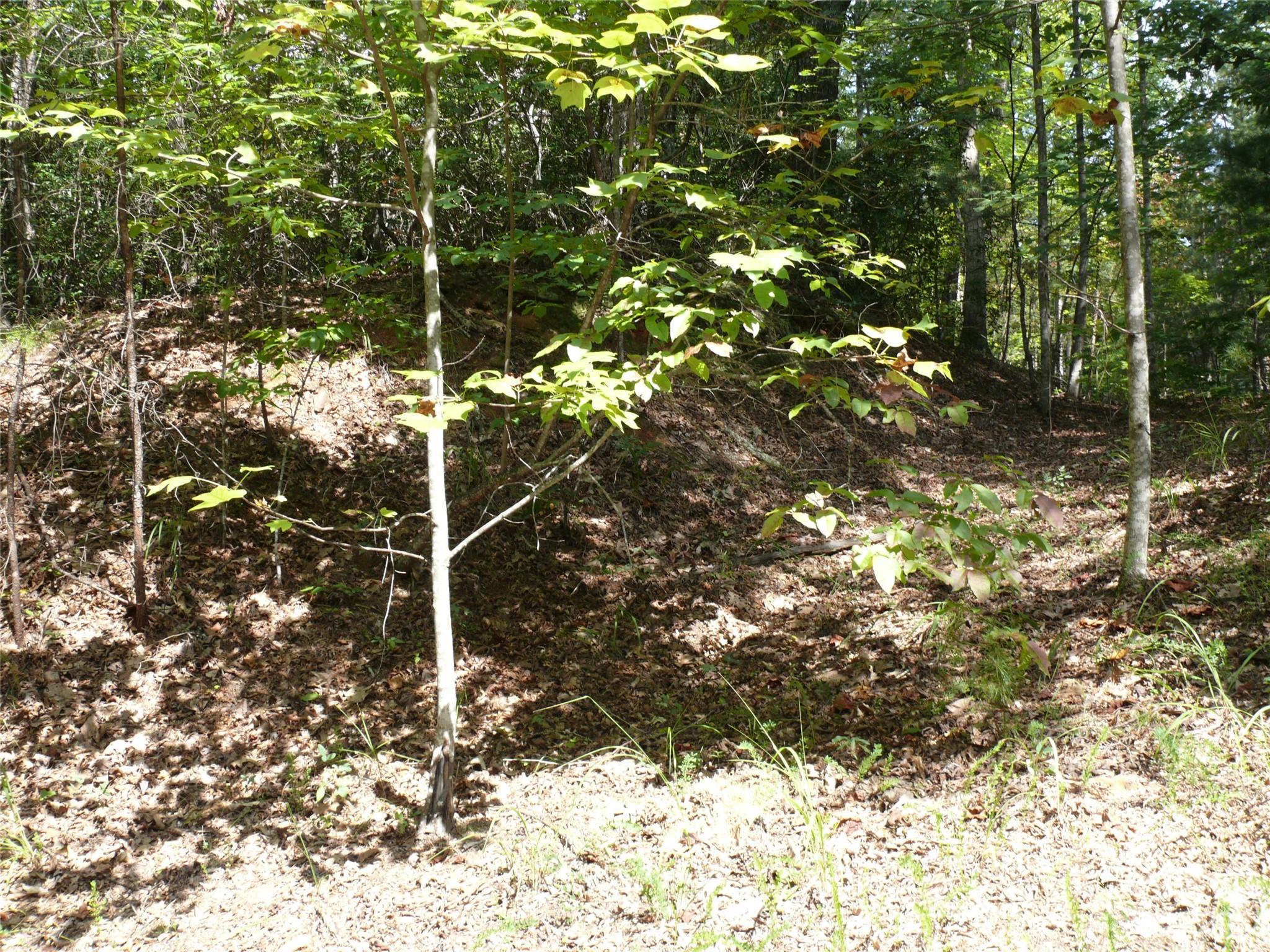 Carolina Mountains - Land