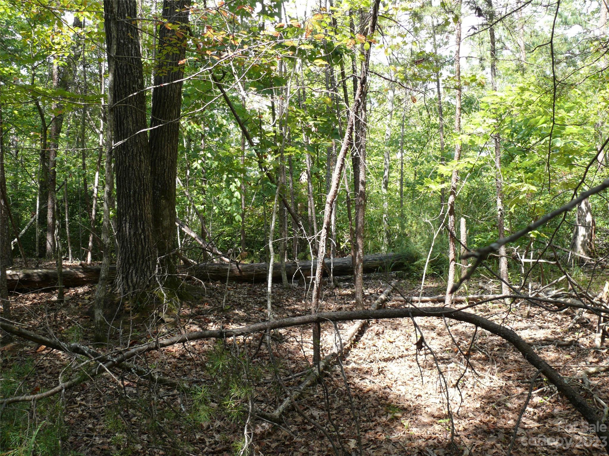 Carolina Mountains - Land