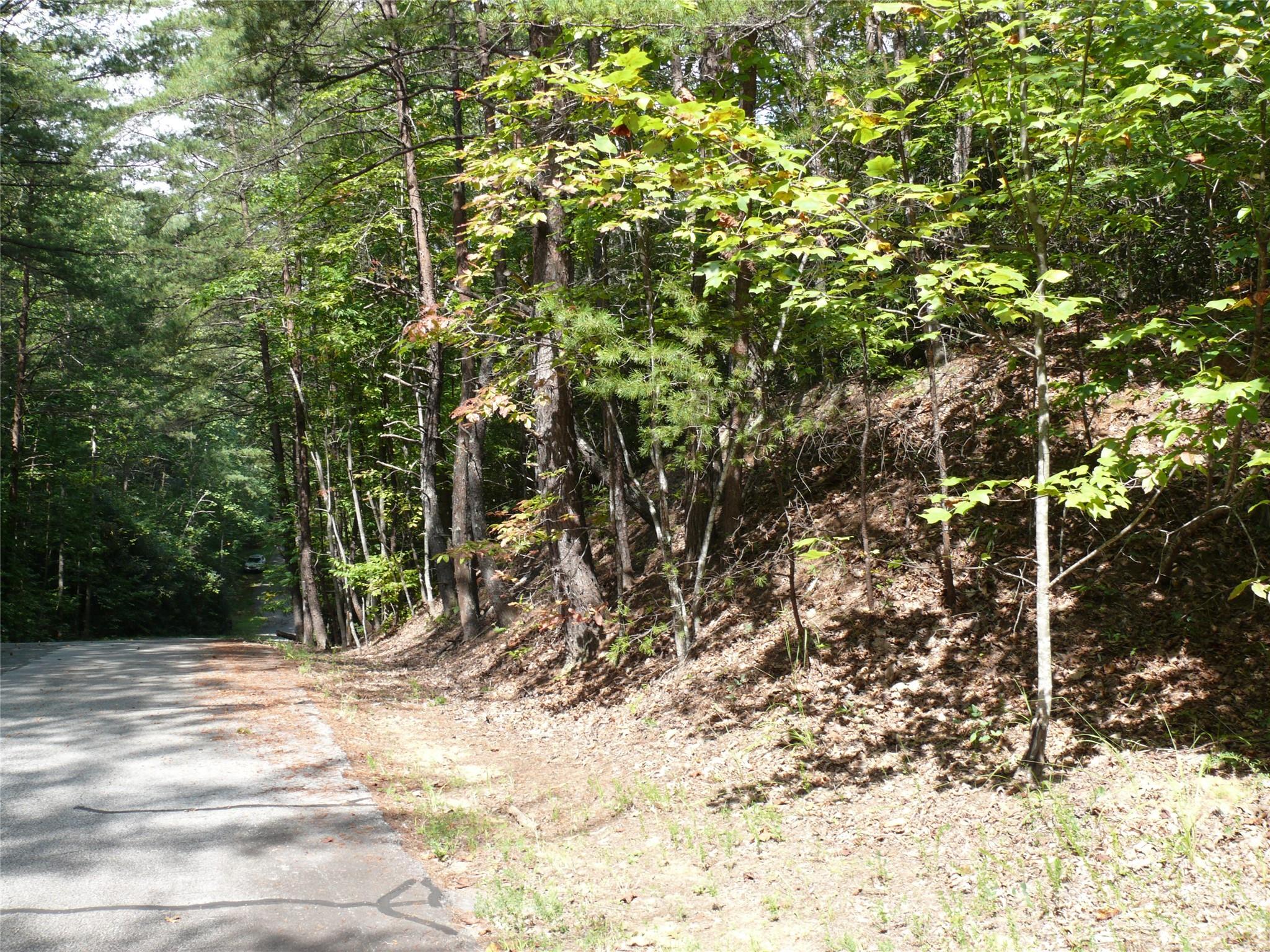 Carolina Mountains - Land