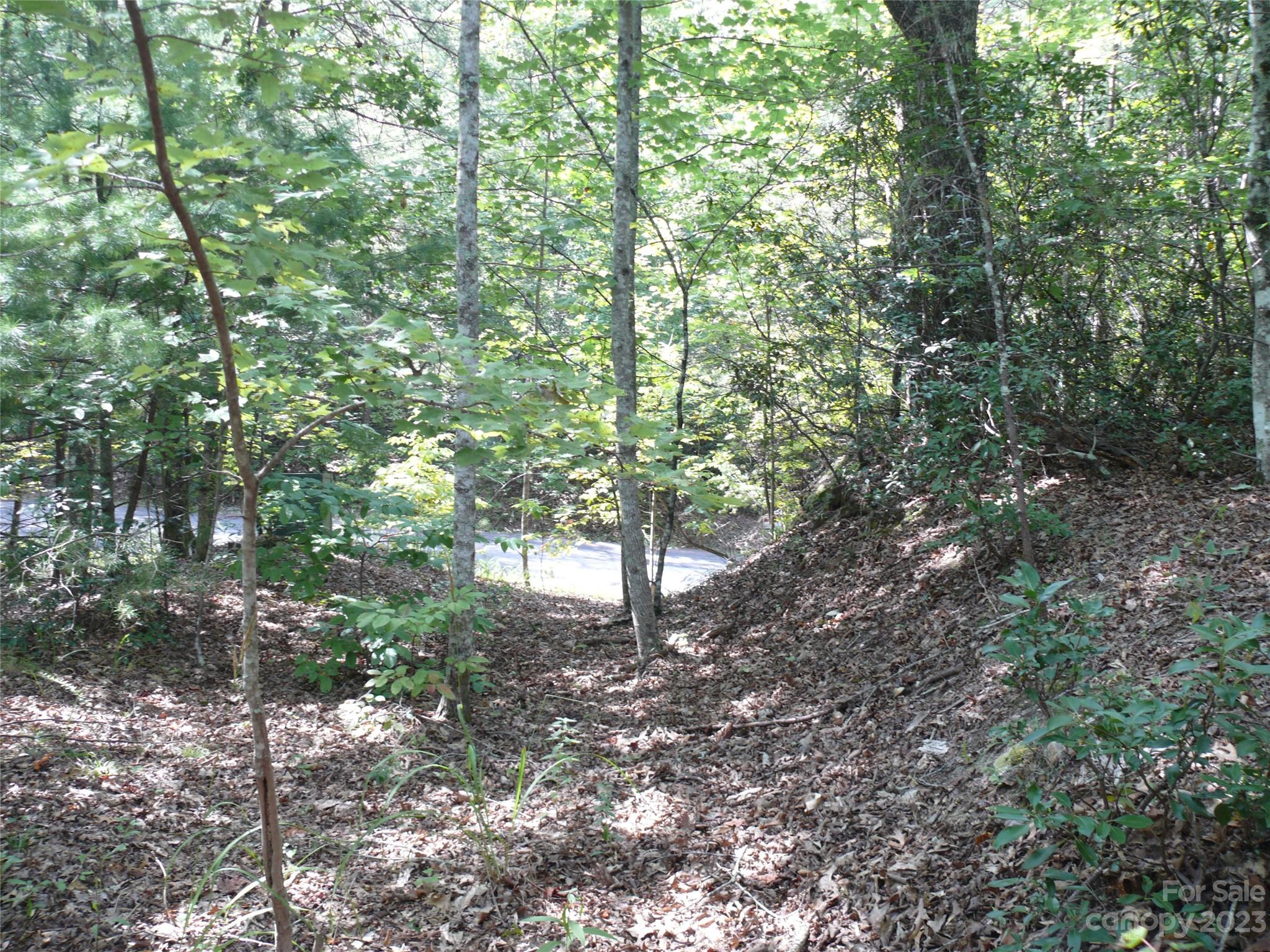 Carolina Mountains - Land