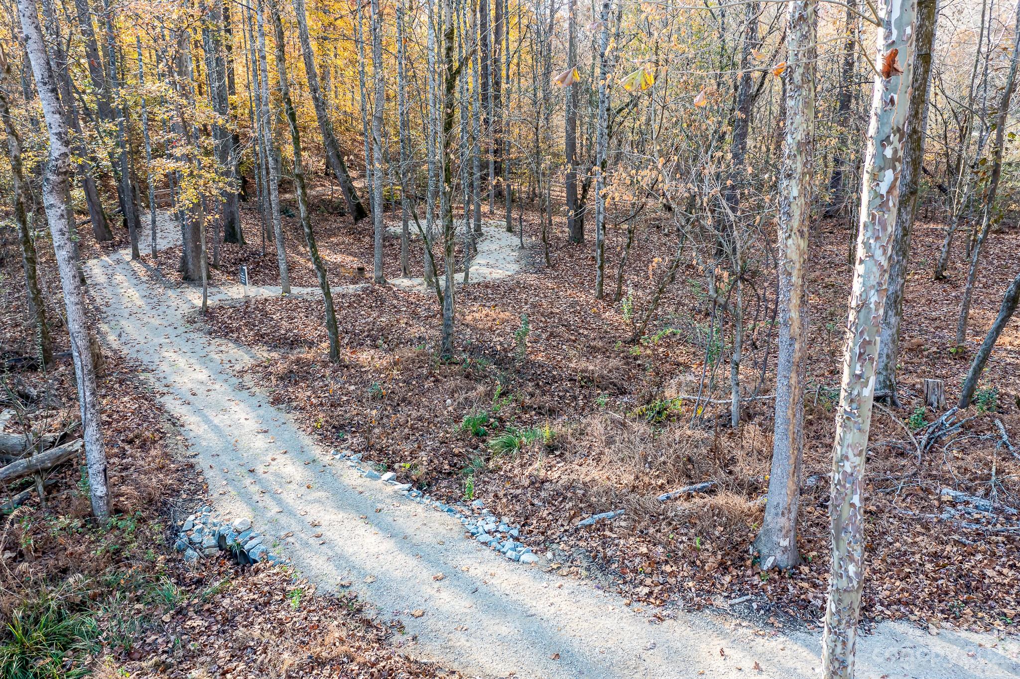 Ventosa at Catawba Springs - Land