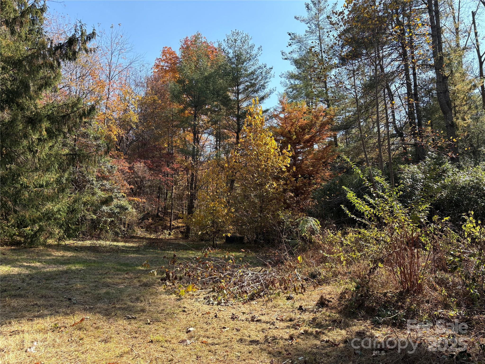 276 Cedar Creek Road