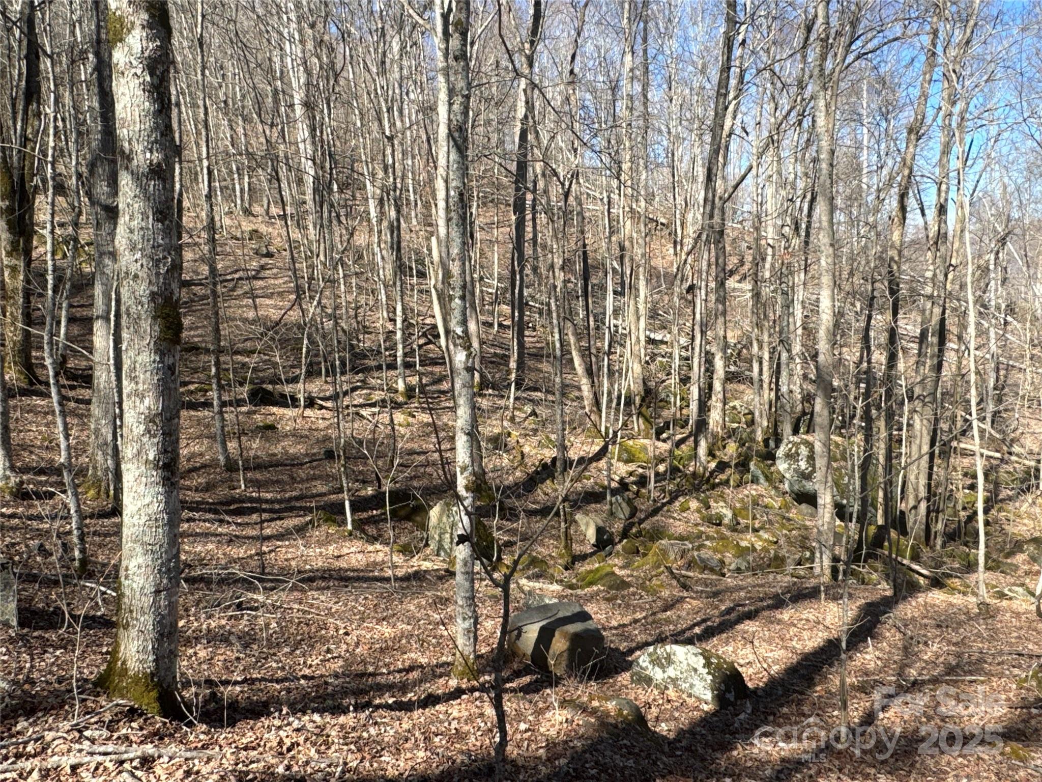 00 Beech Thicket Springs Road 40