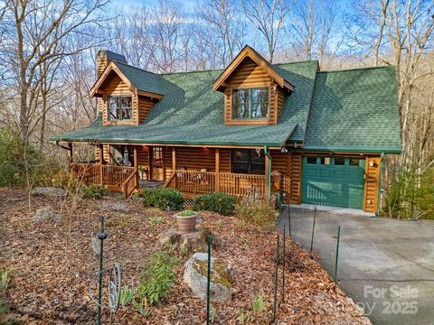 Photo of 116 Wahuhu Court, Brevard, NC 28712 (MLS # 4327627)