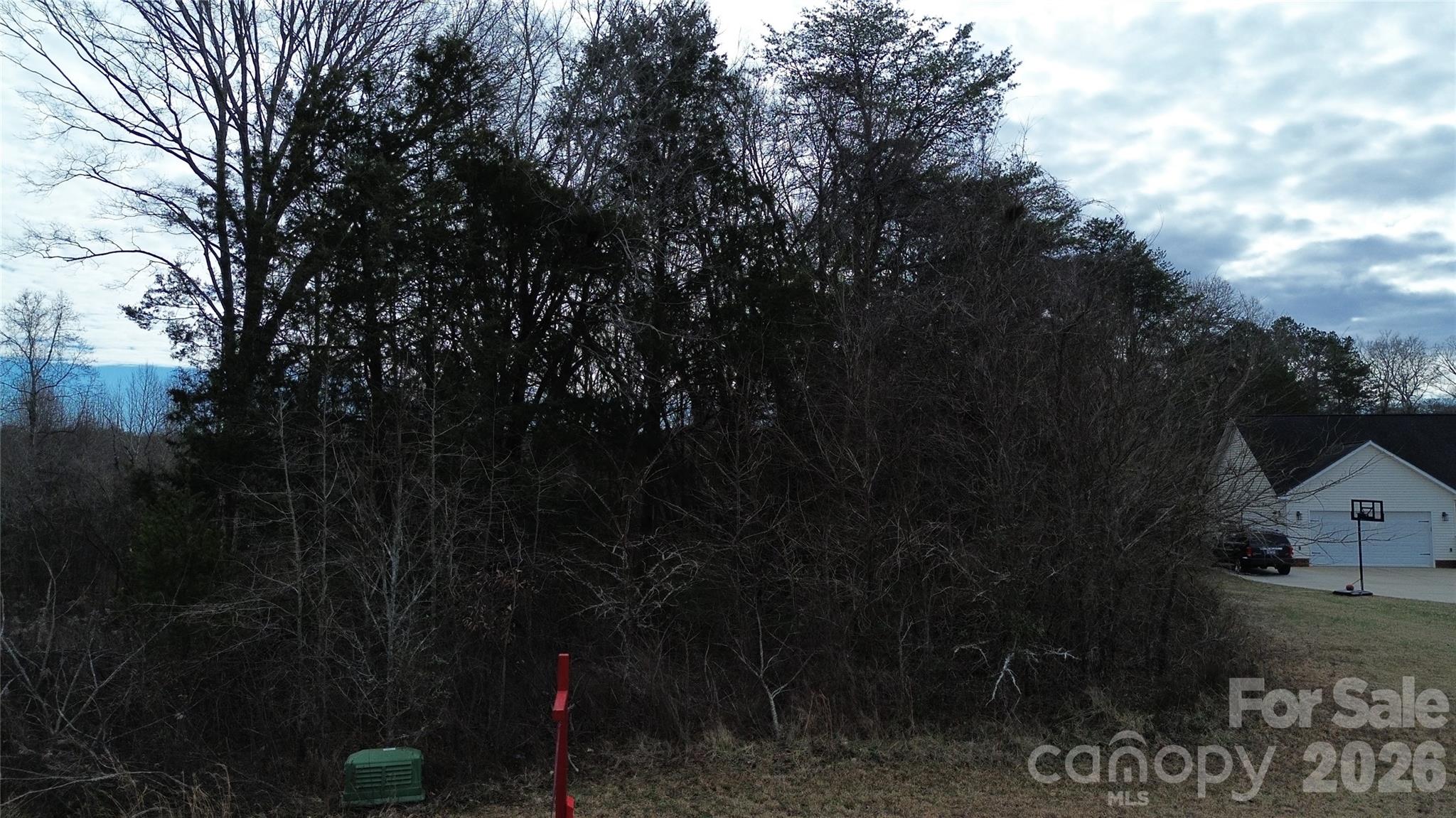 0 Grassy Meadows Court 48