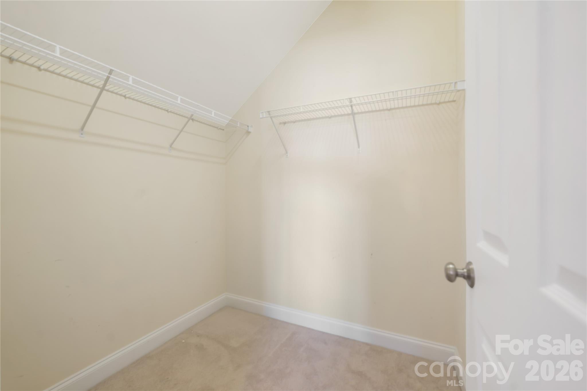 Water Oak - Residential