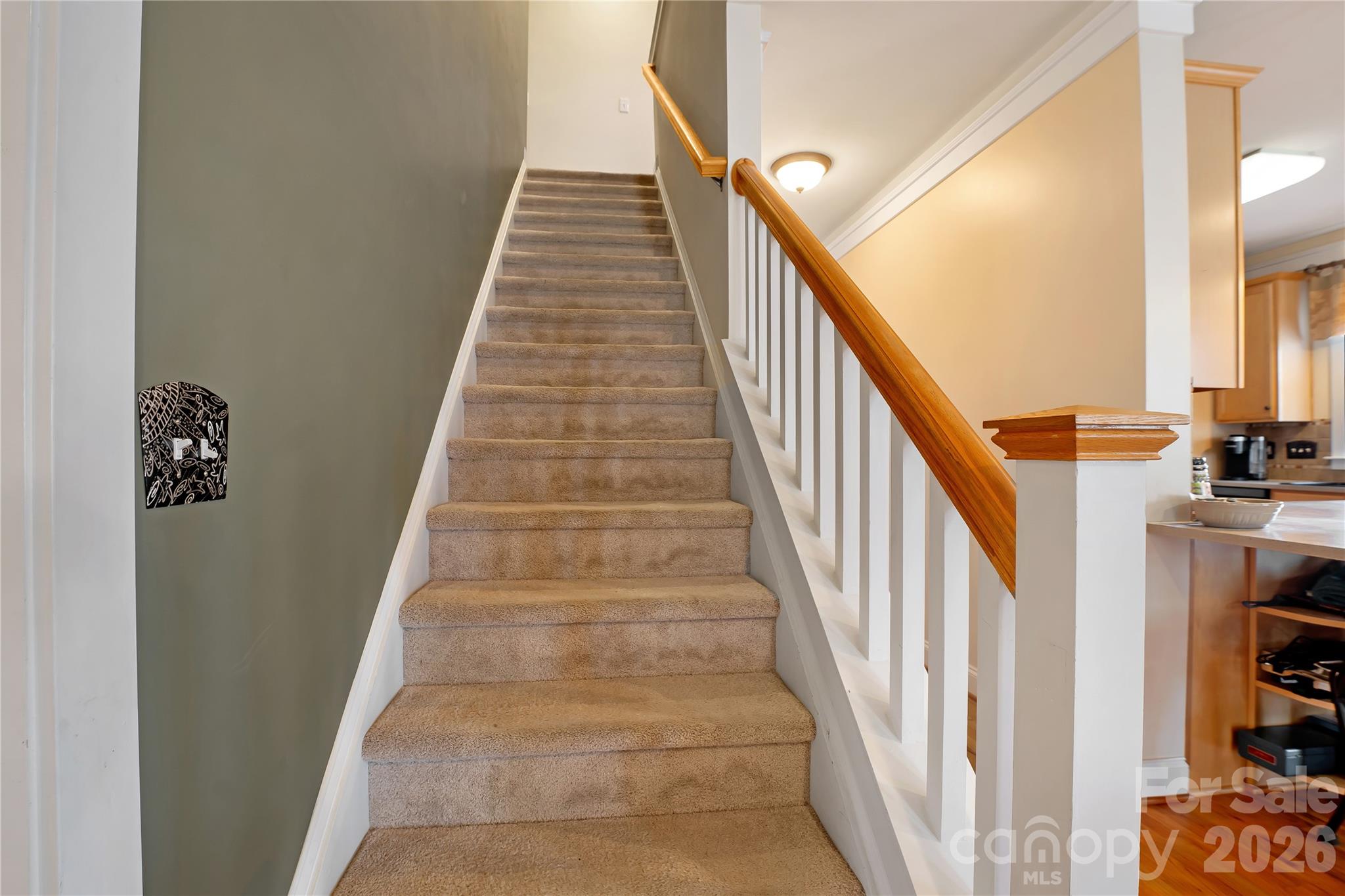 Water Oak - Residential