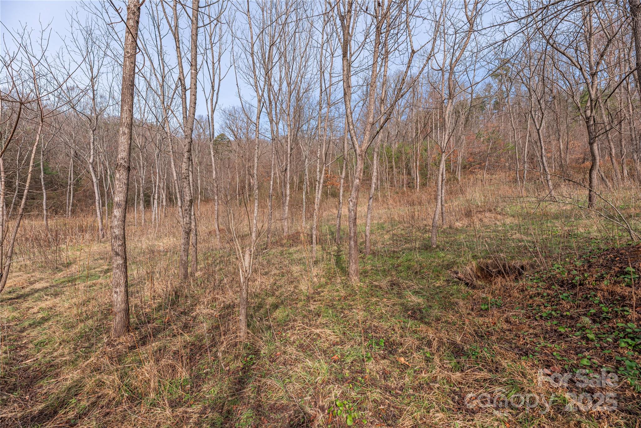 The Farm At Caney Fork - Land