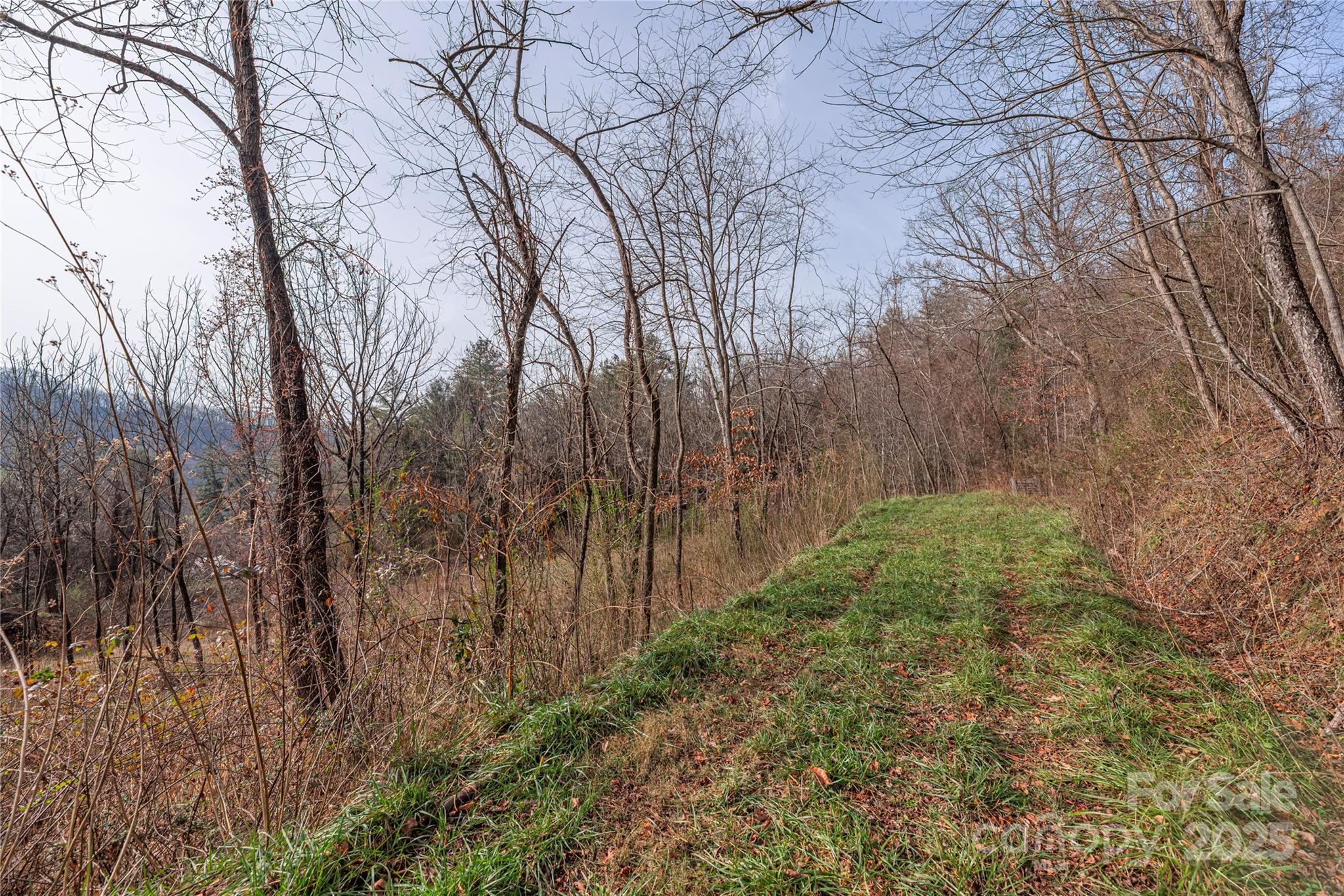 The Farm At Caney Fork - Land