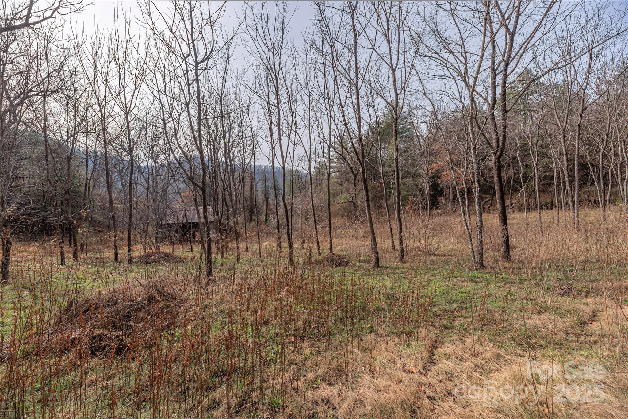 The Farm At Caney Fork - Land
