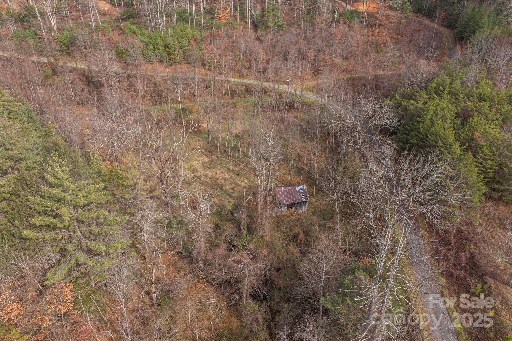 The Farm At Caney Fork - Land