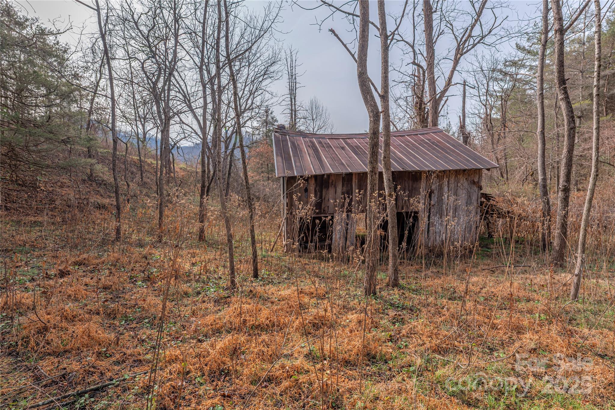 The Farm At Caney Fork - Land