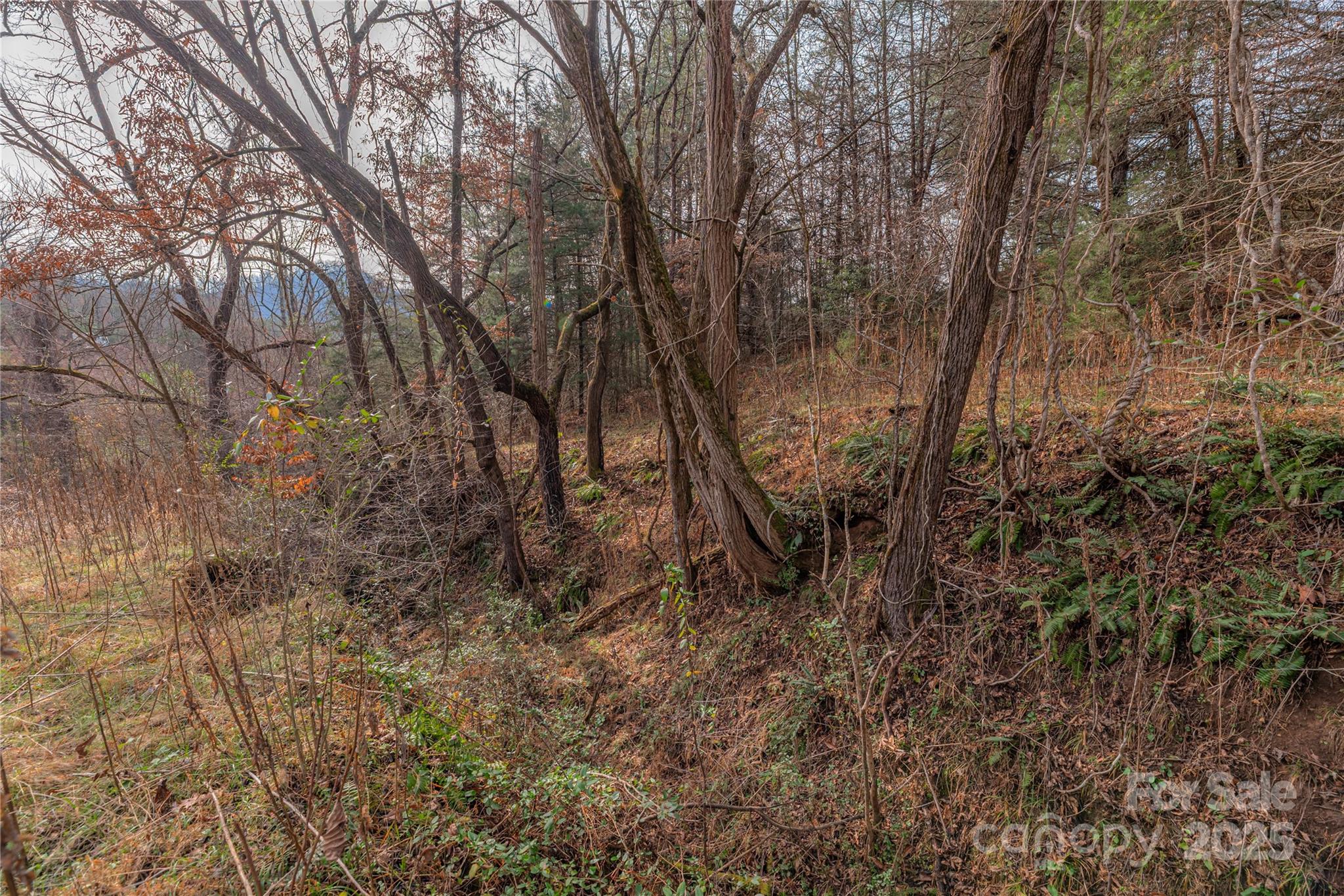The Farm At Caney Fork - Land