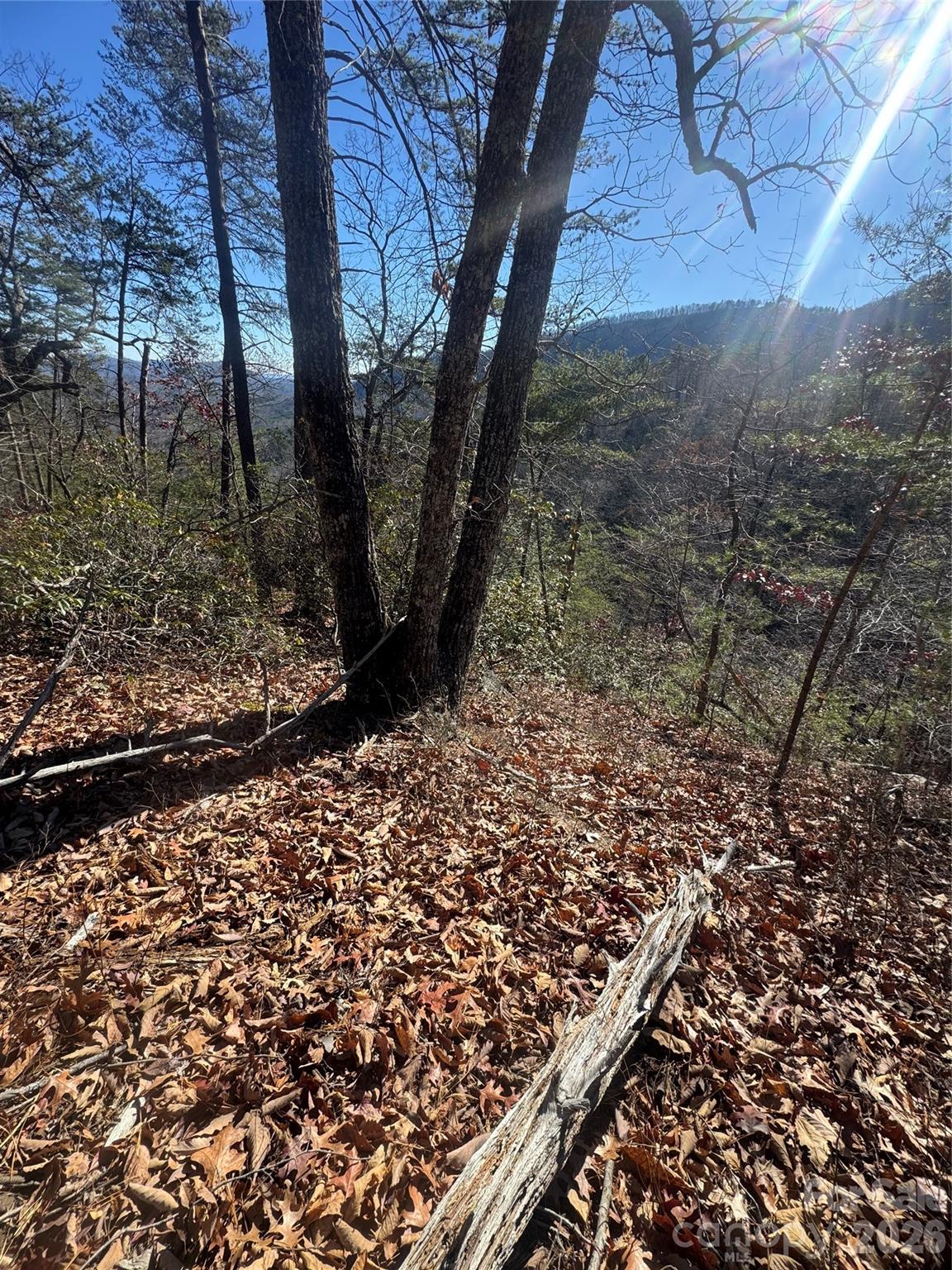 0 Laurel Branch Drive 20
