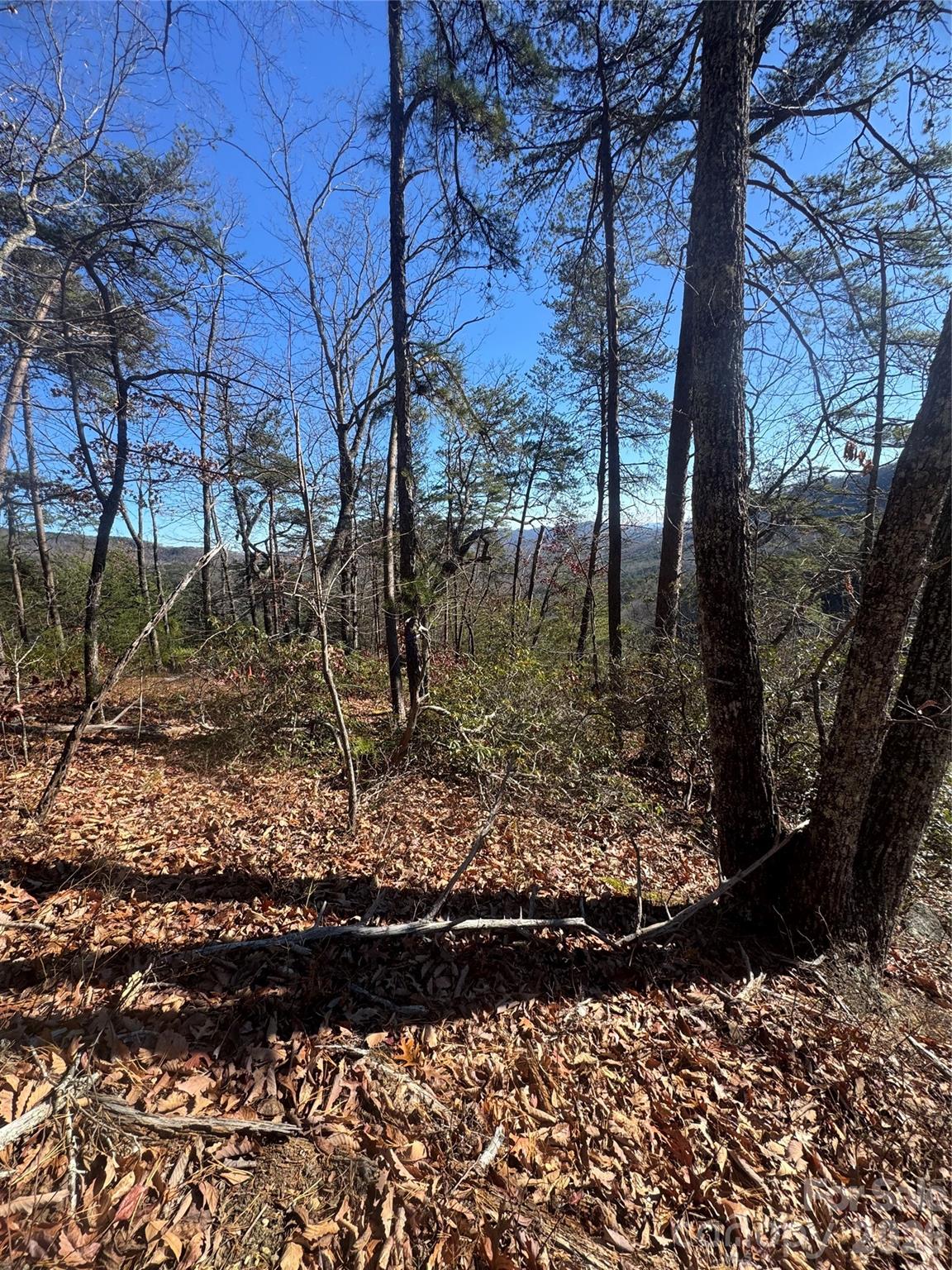 0 Laurel Branch Drive 20