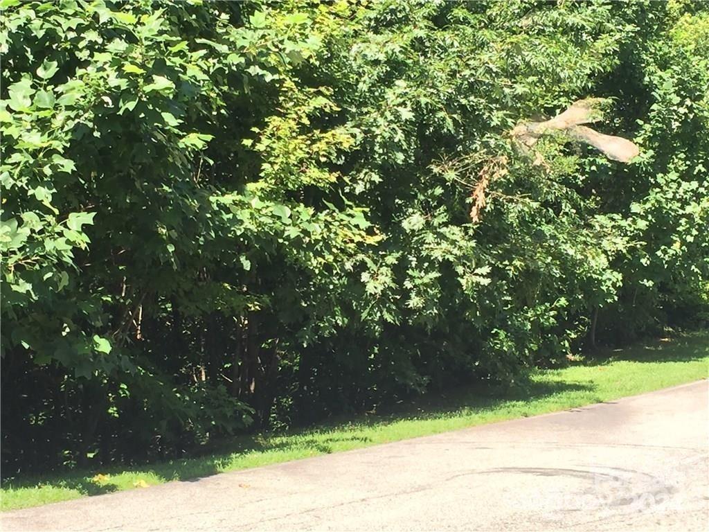 105 Crossvine Trail
