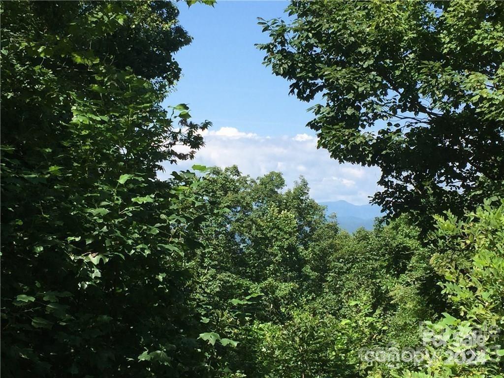105 Crossvine Trail