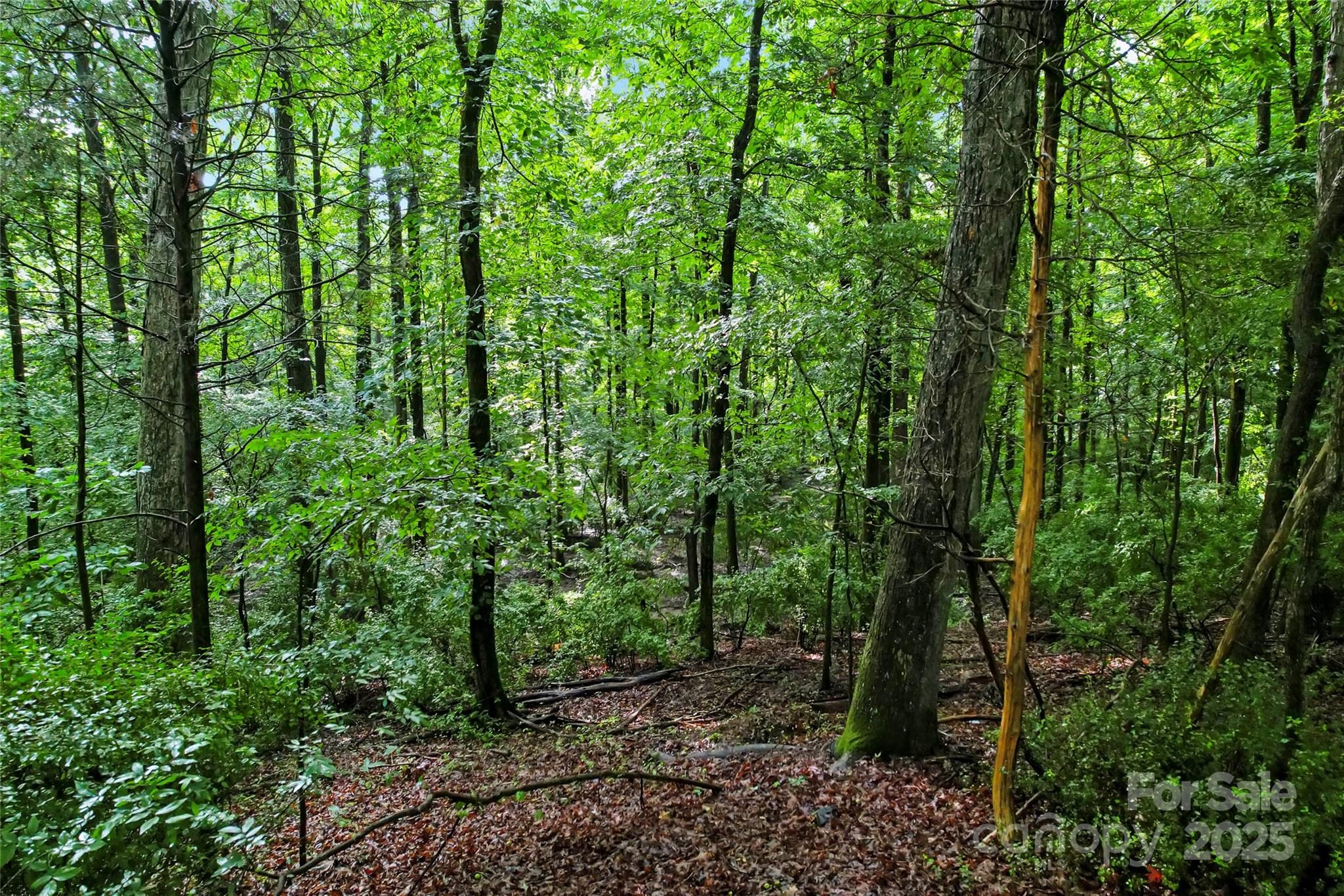 The Sanctuary - Land