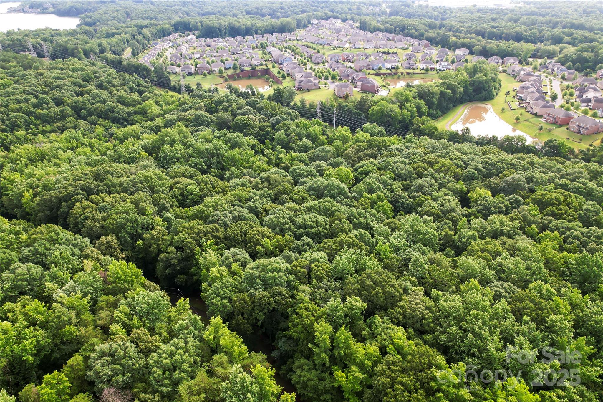 The Sanctuary - Land