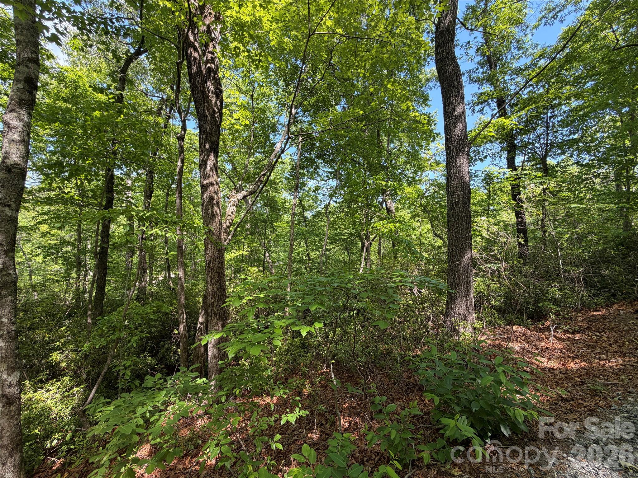 0 Buffalo Shoals Road 1