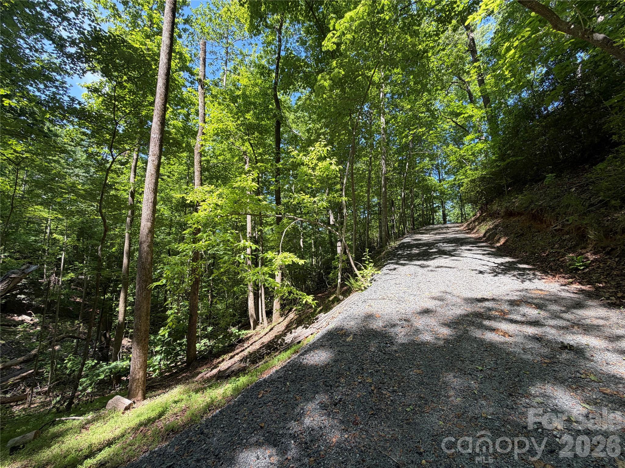 0 Buffalo Shoals Road 1