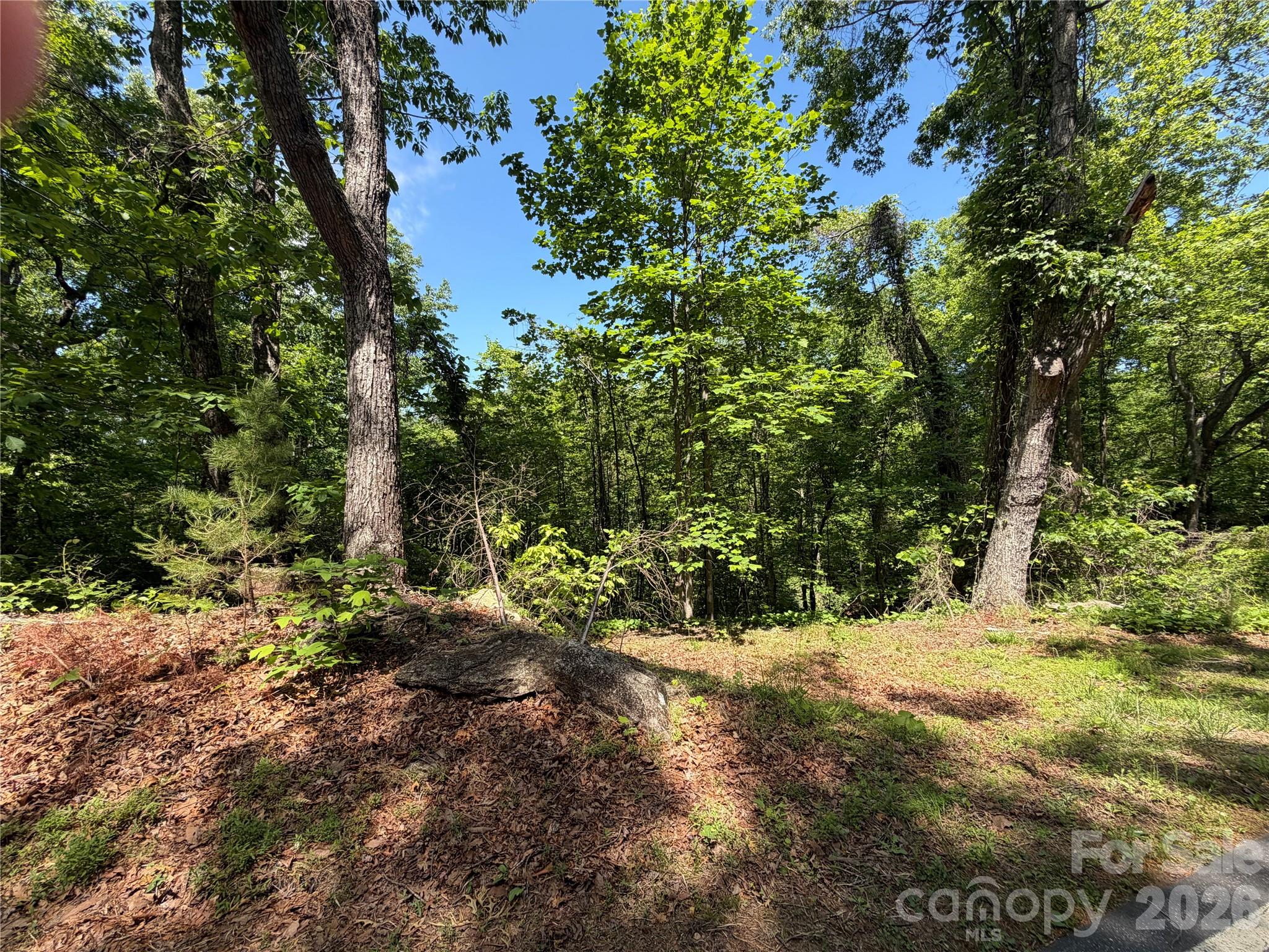 0 Buffalo Shoals Road 1