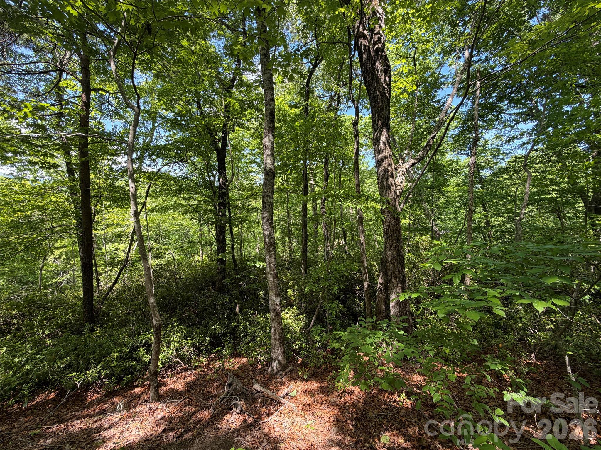 0 Buffalo Shoals Road 1